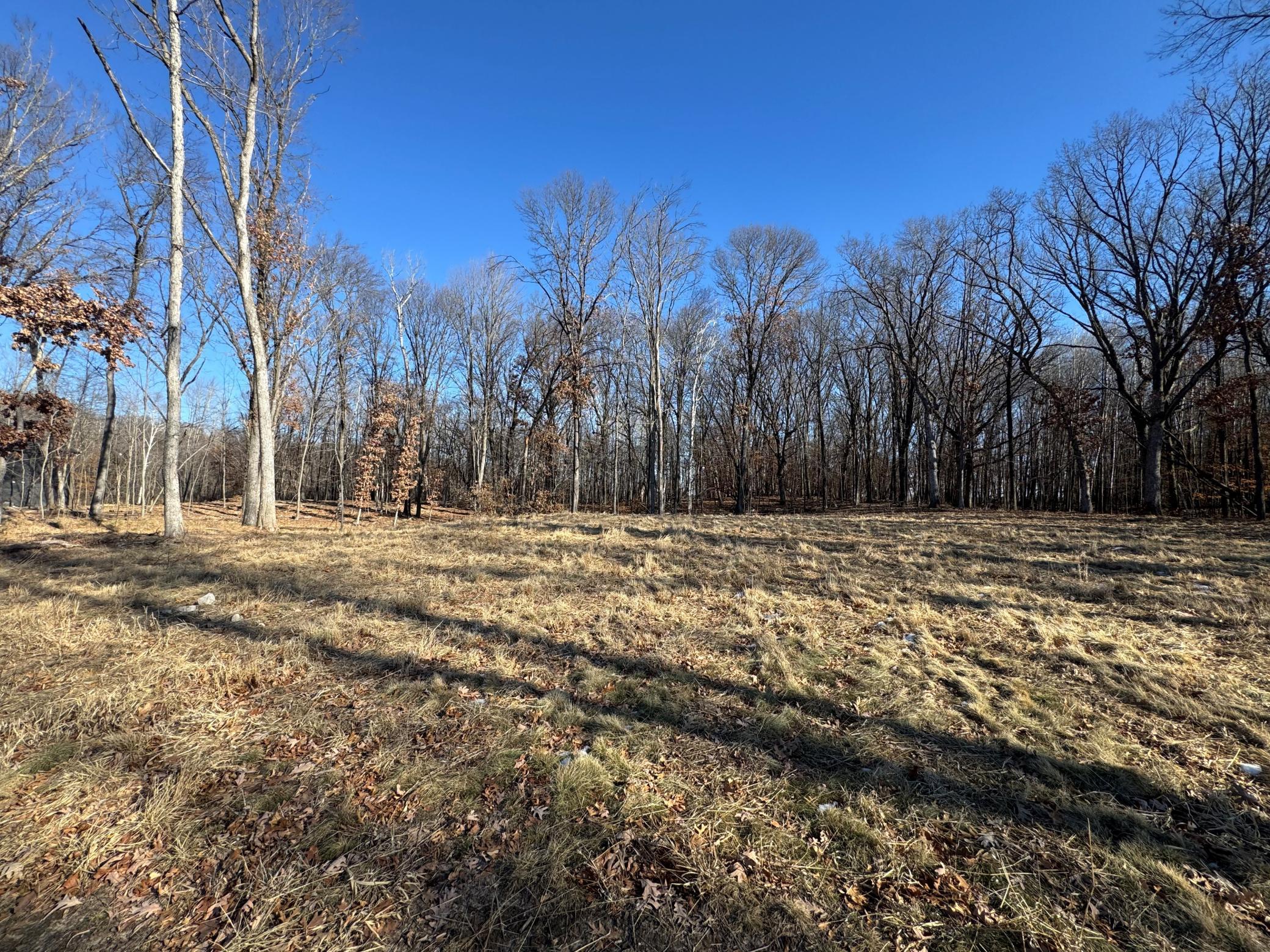View of Land at 14775 Stutz Street, Ham Lake MN 55304, Ham Lake (5 of 8) - Mike Wilen | Minnesota Team Real Estate