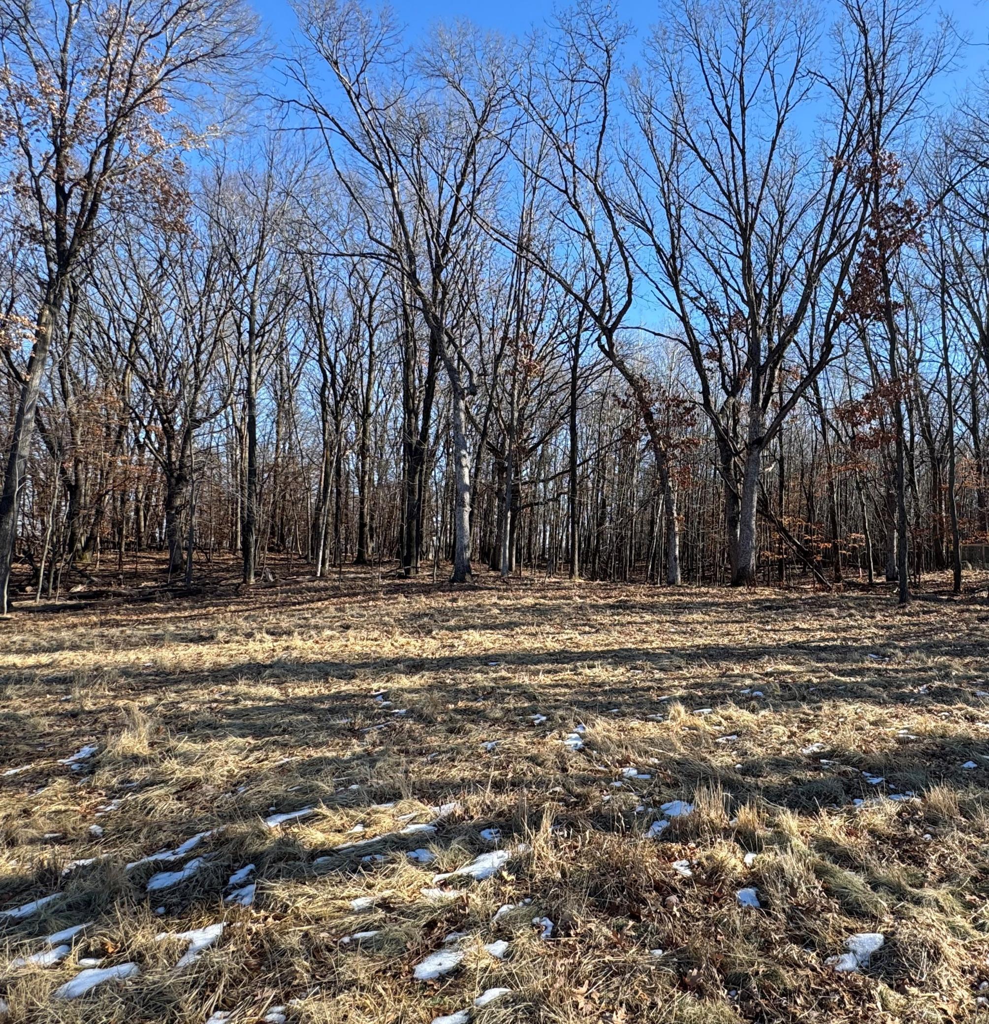 View of Land at 14775 Stutz Street, Ham Lake MN 55304, Ham Lake (6 of 8) - Mike Wilen | Minnesota Team Real Estate