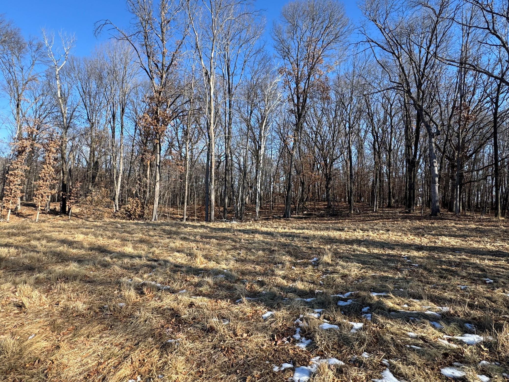 View of Land at 14775 Stutz Street, Ham Lake MN 55304, Ham Lake (7 of 8) - Mike Wilen | Minnesota Team Real Estate