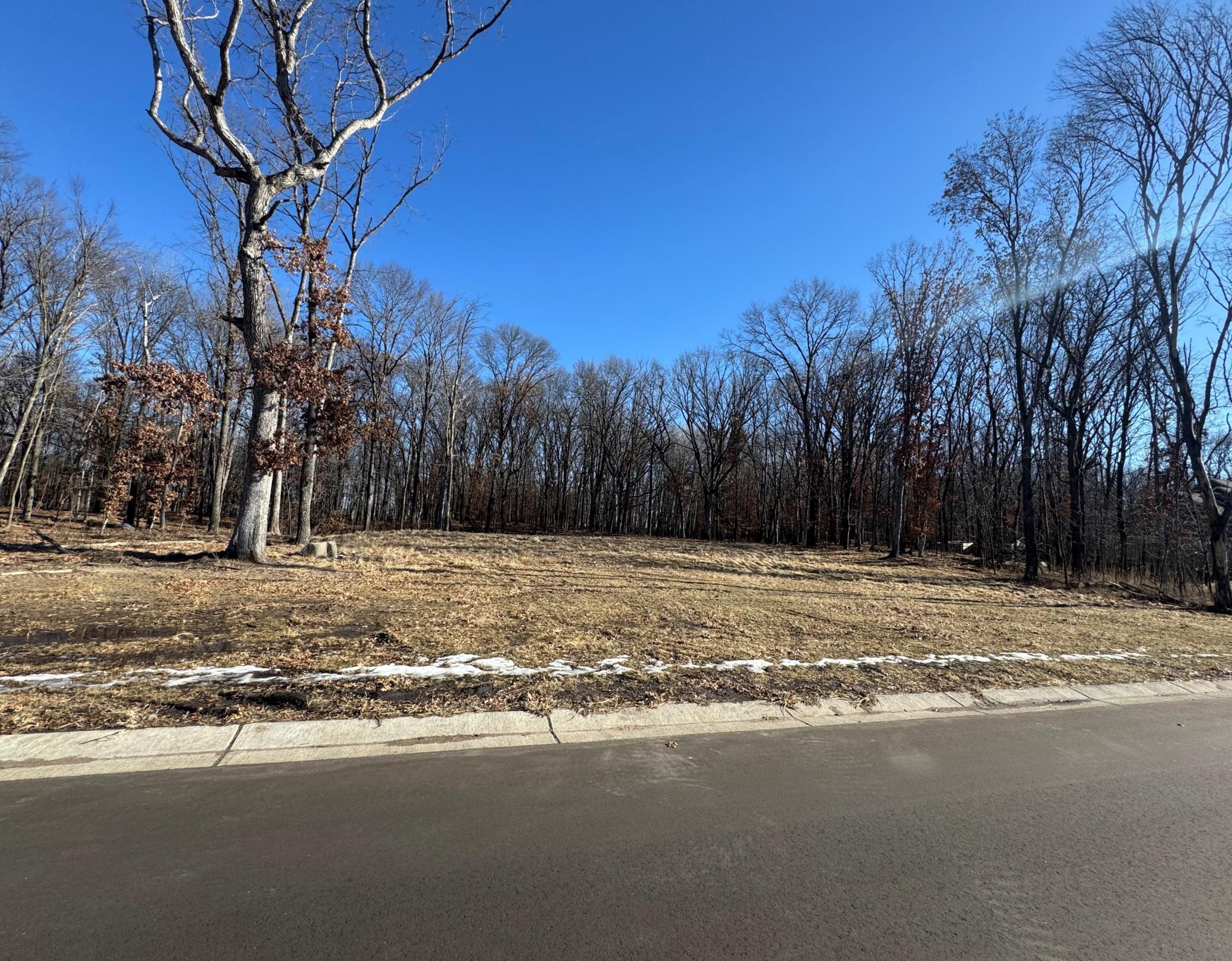 View of Land at 14775 Stutz Street, Ham Lake MN 55304, Ham Lake (8 of 8) - Mike Wilen | Minnesota Team Real Estate