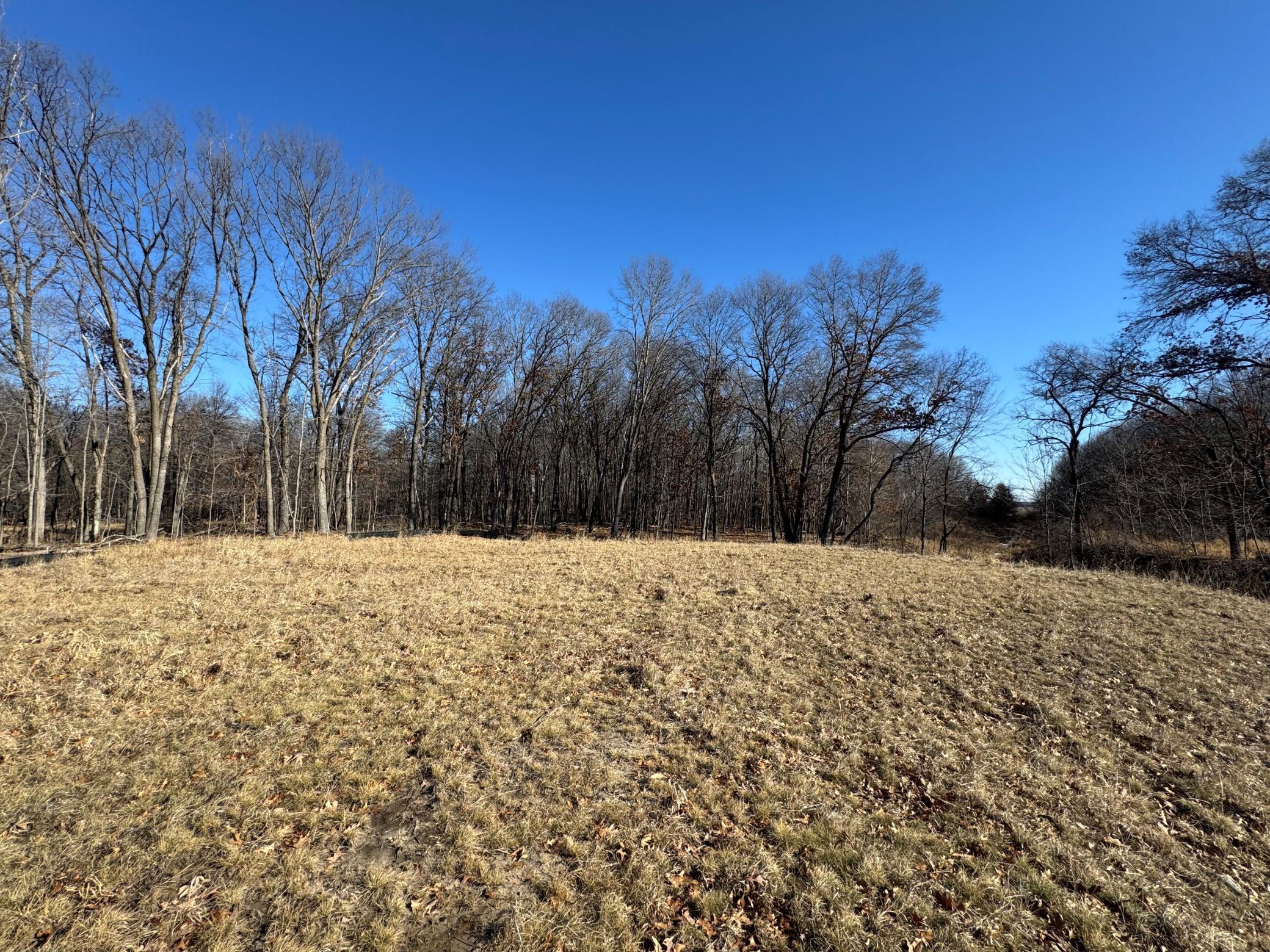 View of Land at 14885 Stutz Street, Ham Lake MN 55304, Ham Lake (2 of 10) - Mike Wilen | Minnesota Team Real Estate