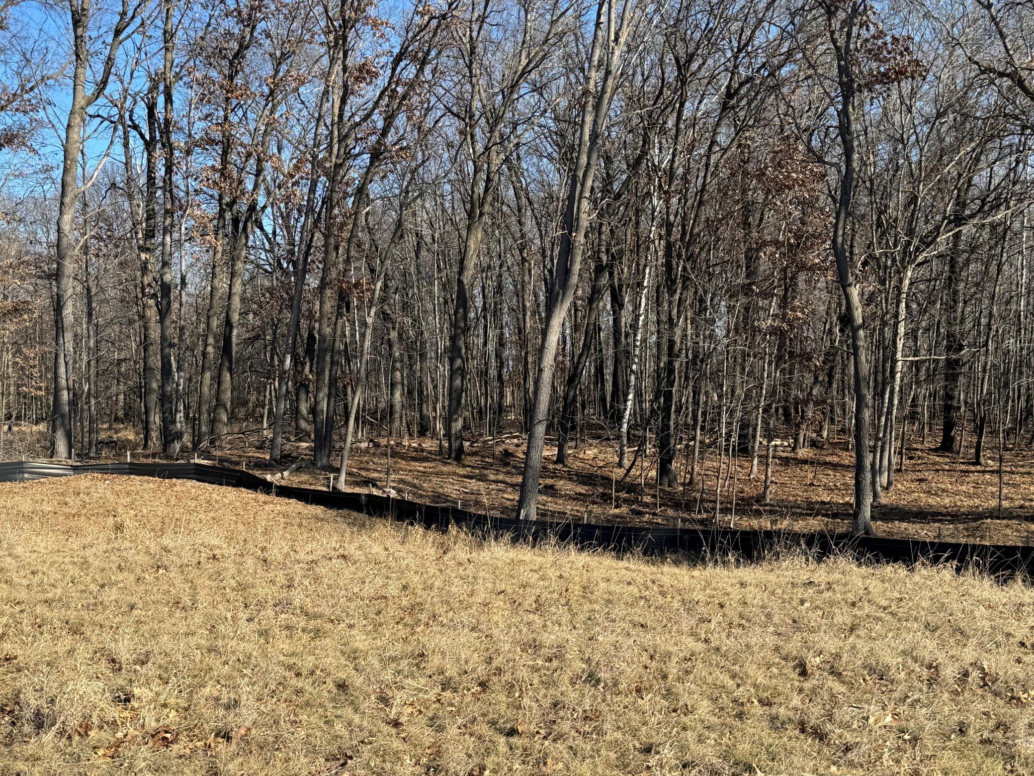 View of Land at 14885 Stutz Street, Ham Lake MN 55304, Ham Lake (3 of 10) - Mike Wilen | Minnesota Team Real Estate