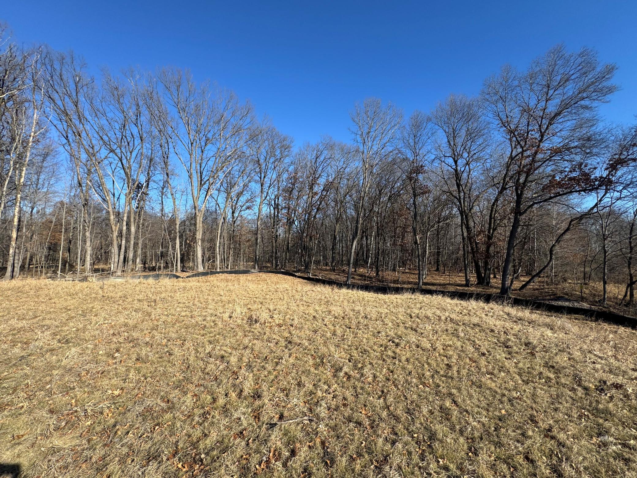 View of Land at 14885 Stutz Street, Ham Lake MN 55304, Ham Lake (5 of 10) - Mike Wilen | Minnesota Team Real Estate