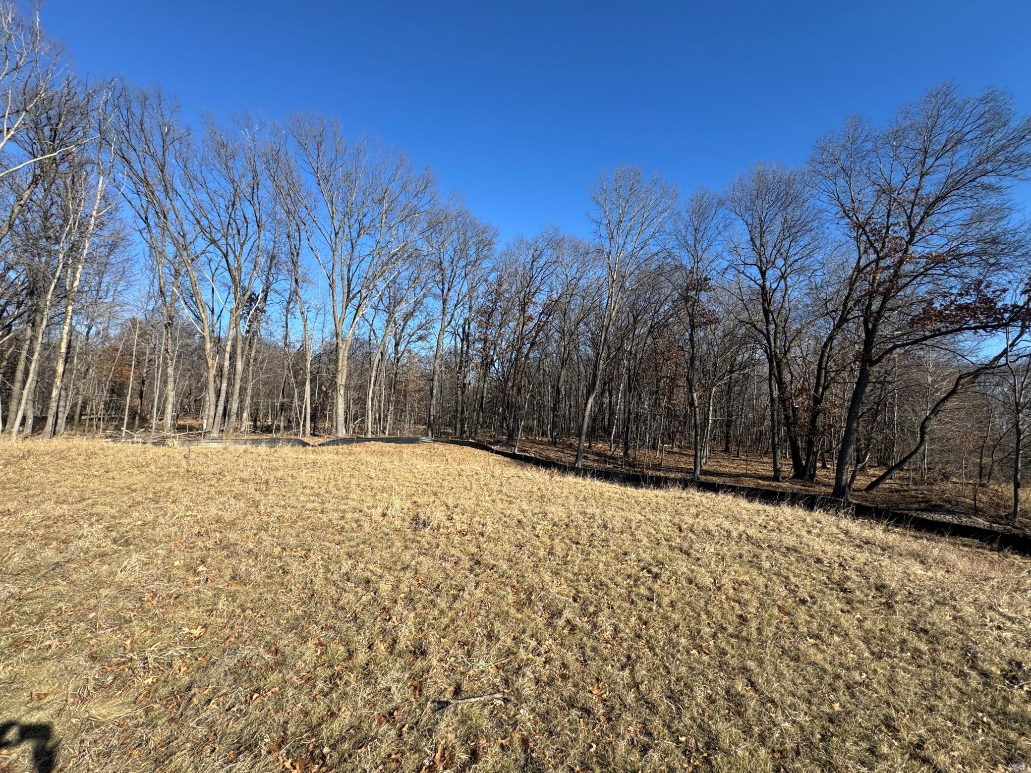 View of Land at 14885 Stutz Street, Ham Lake MN 55304, Ham Lake (6 of 10) - Mike Wilen | Minnesota Team Real Estate