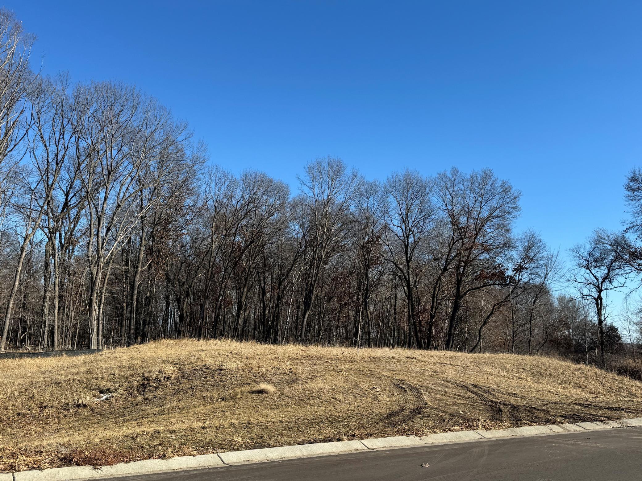 View of Land at 14885 Stutz Street, Ham Lake MN 55304, Ham Lake (7 of 10) - Mike Wilen | Minnesota Team Real Estate
