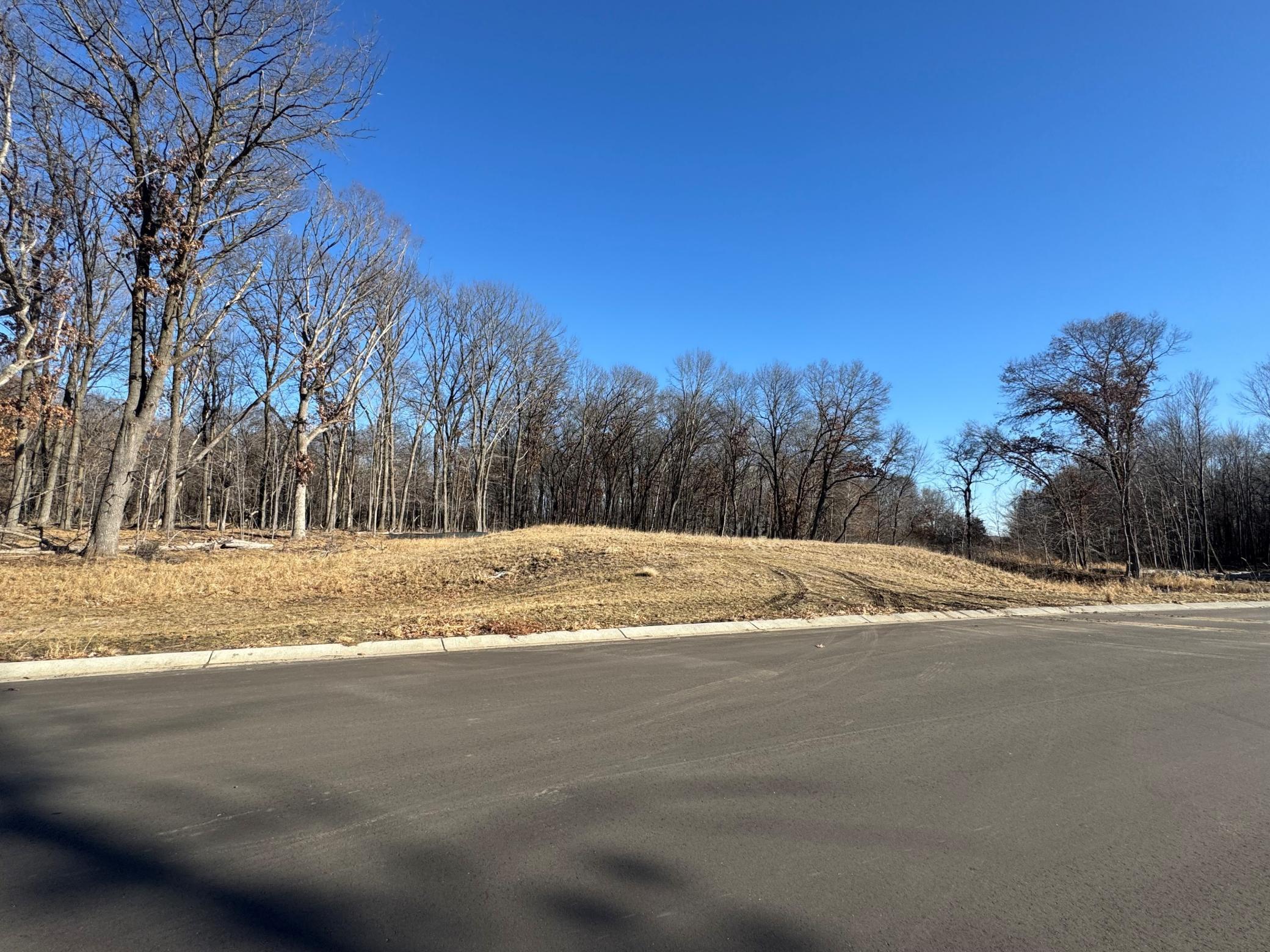 View of Land at 14885 Stutz Street, Ham Lake MN 55304, Ham Lake (9 of 10) - Mike Wilen | Minnesota Team Real Estate