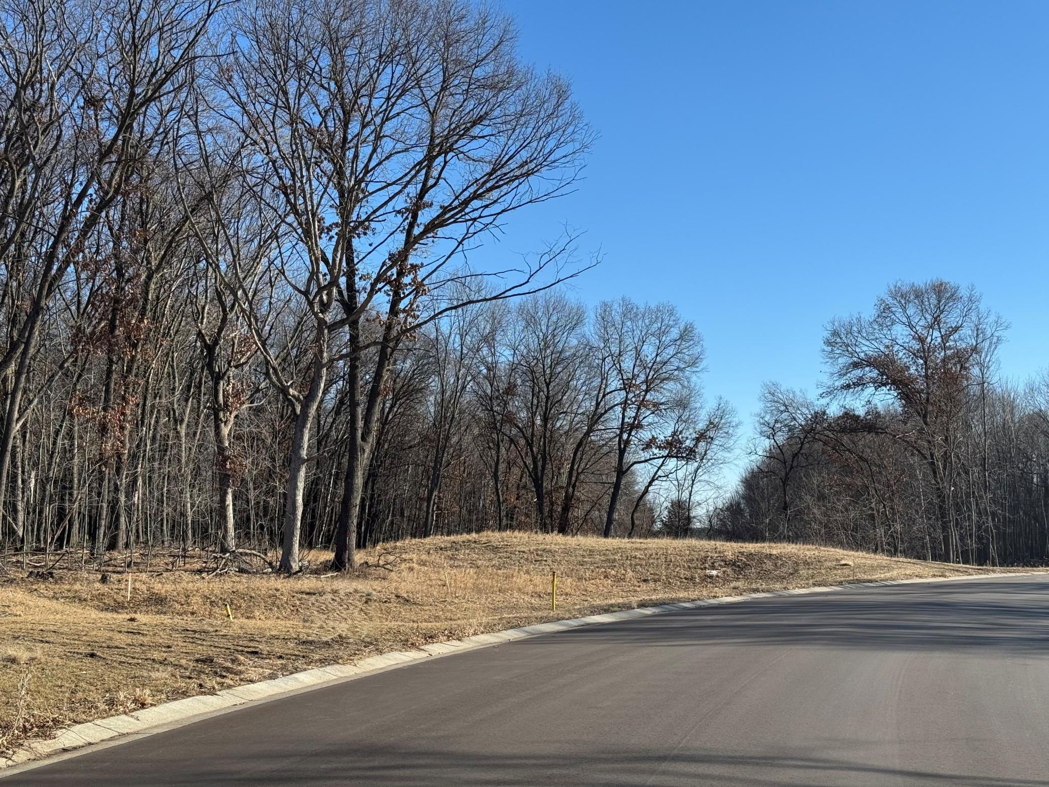 View of Land at 14885 Stutz Street, Ham Lake MN 55304, Ham Lake (10 of 10) - Mike Wilen | Minnesota Team Real Estate