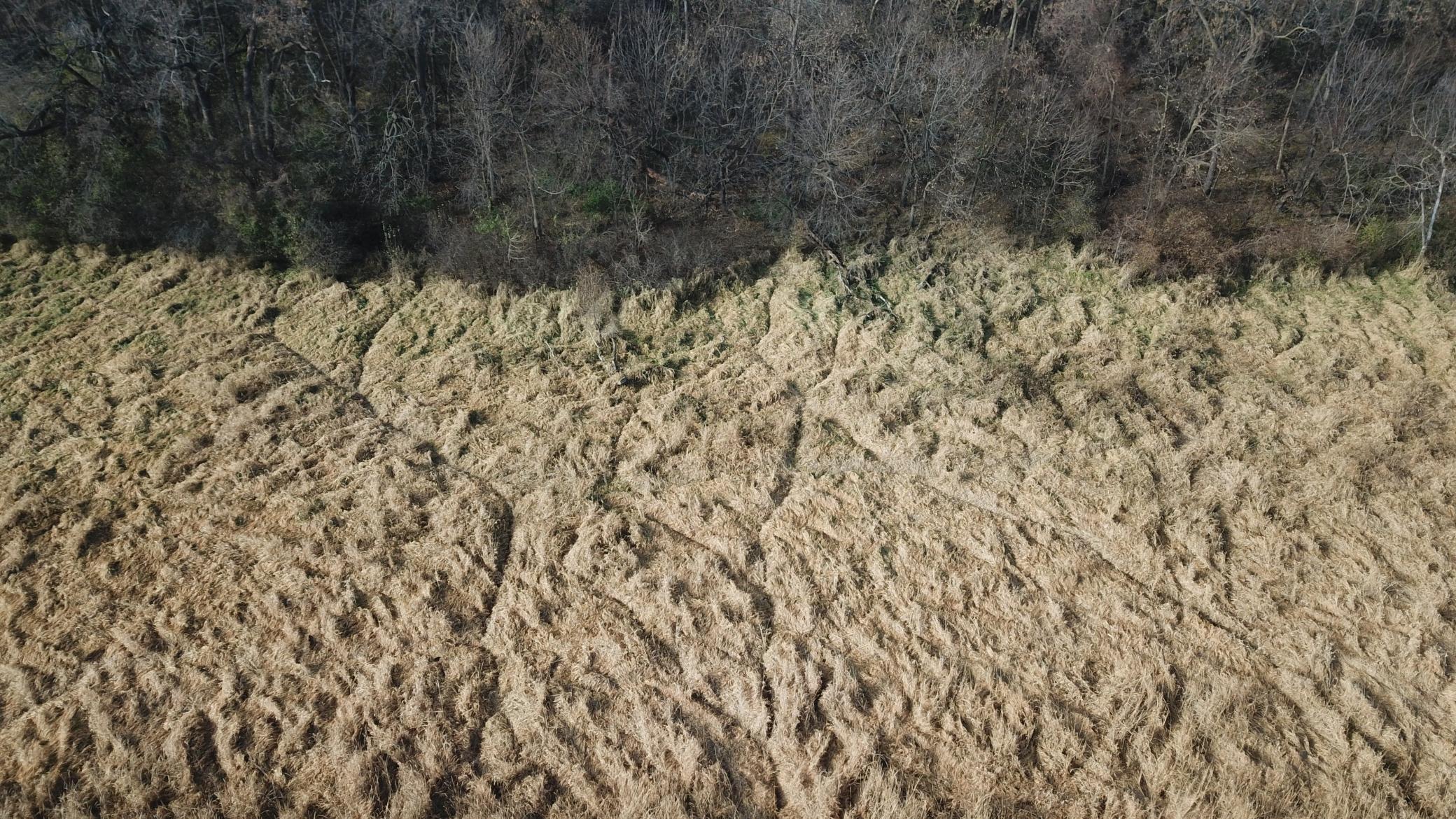 View of Land at TBD 72nd St. SW, Howard Lake MN 55349, Howard Lake (5 of 14) - Mike Wilen | Minnesota Team Real Estate