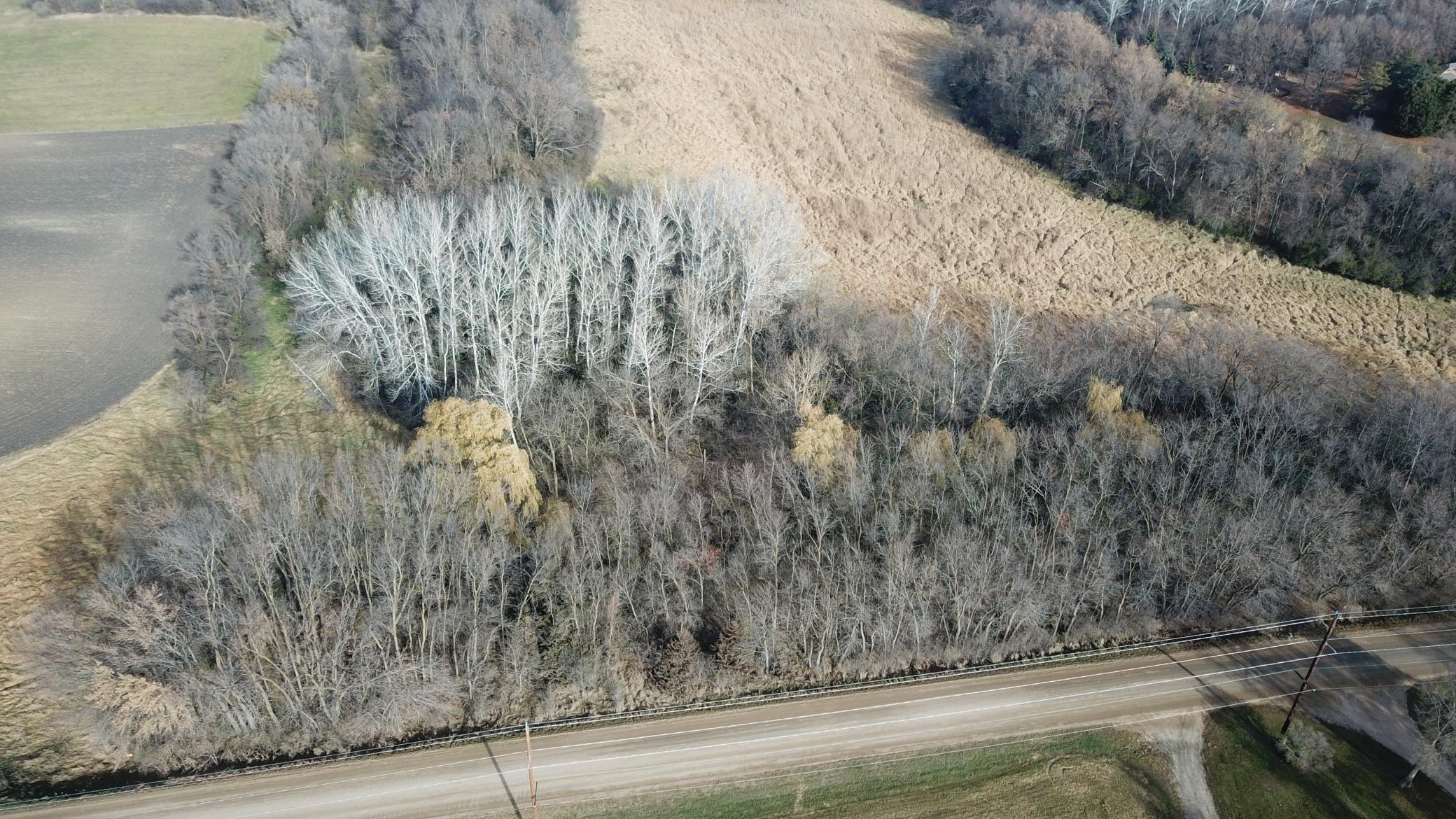 View of Land at TBD 72nd St. SW, Howard Lake MN 55349, Howard Lake (2 of 14) - Mike Wilen | Minnesota Team Real Estate