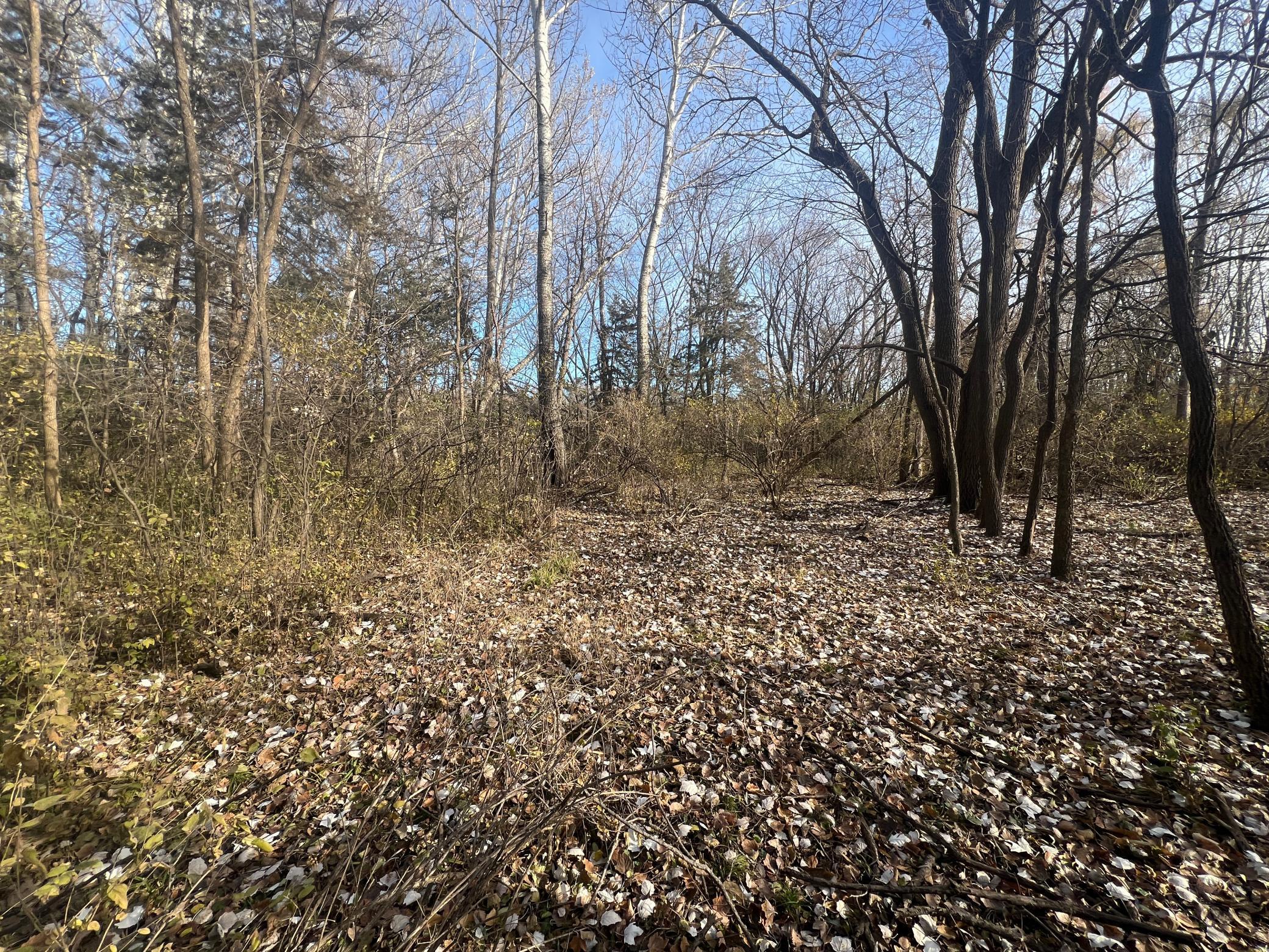 View of Land at TBD 72nd St. SW, Howard Lake MN 55349, Howard Lake (10 of 14) - Mike Wilen | Minnesota Team Real Estate