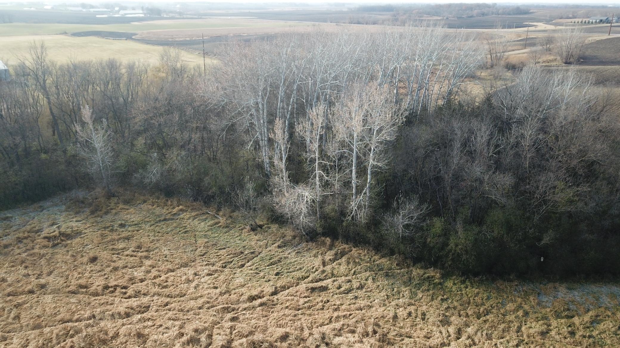 View of Land at TBD 72nd St. SW, Howard Lake MN 55349, Howard Lake (6 of 14) - Mike Wilen | Minnesota Team Real Estate