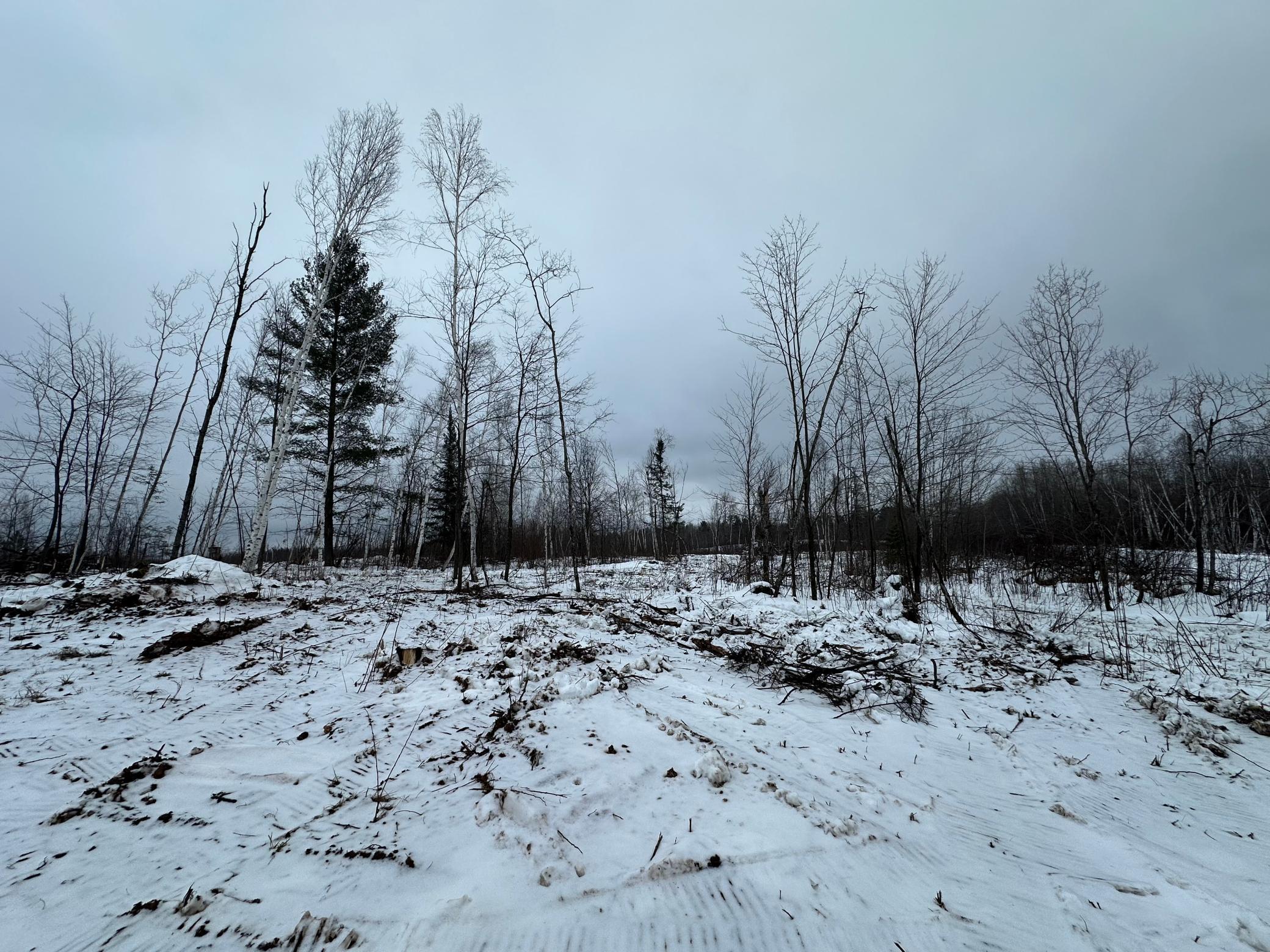 View of Land at TBD #3 Koecher Road, Kerrick MN 55756, Kerrick (2 of 21) - Mike Wilen | Minnesota Team Real Estate
