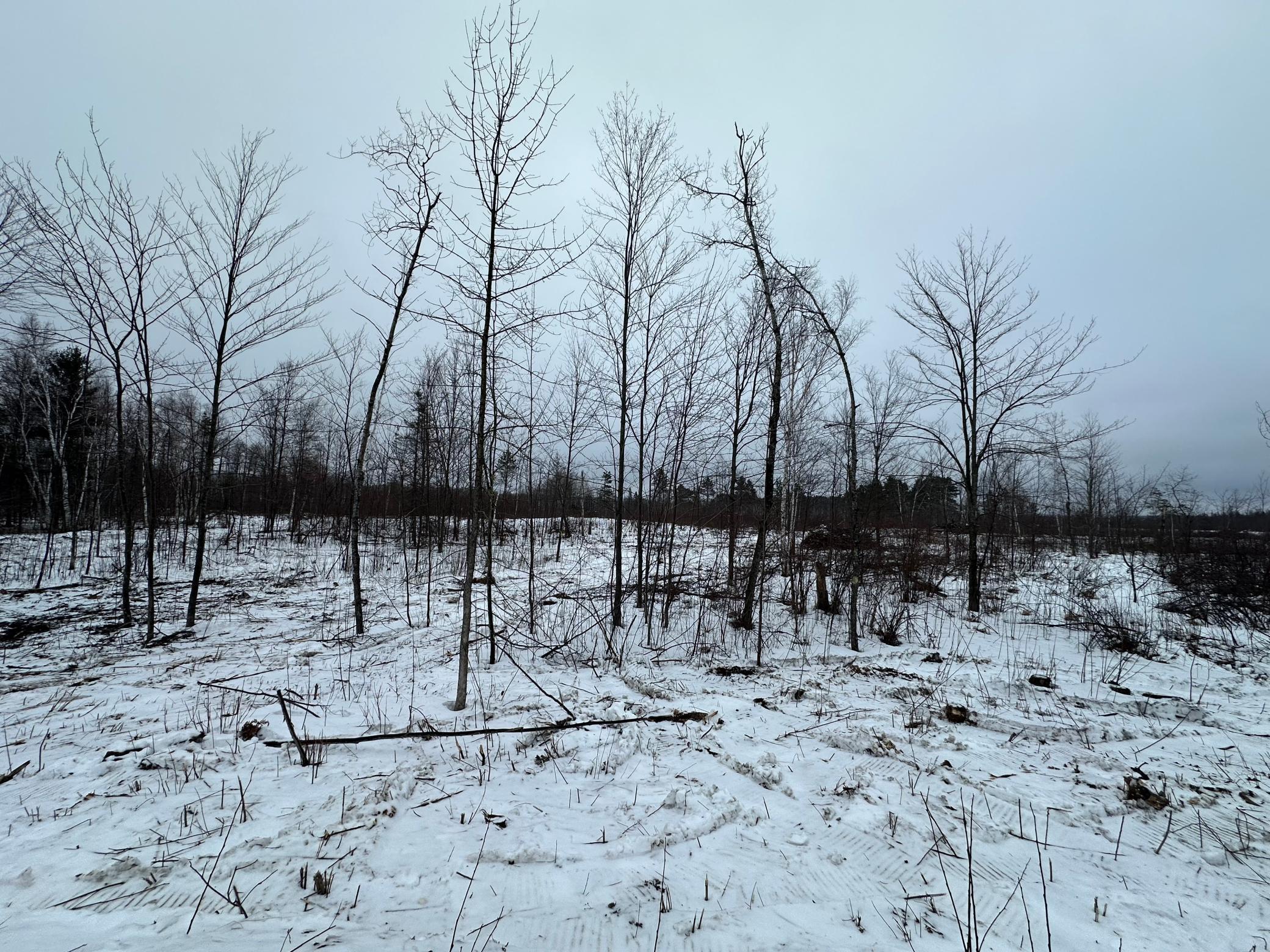 View of Land at TBD #3 Koecher Road, Kerrick MN 55756, Kerrick (16 of 21) - Mike Wilen | Minnesota Team Real Estate