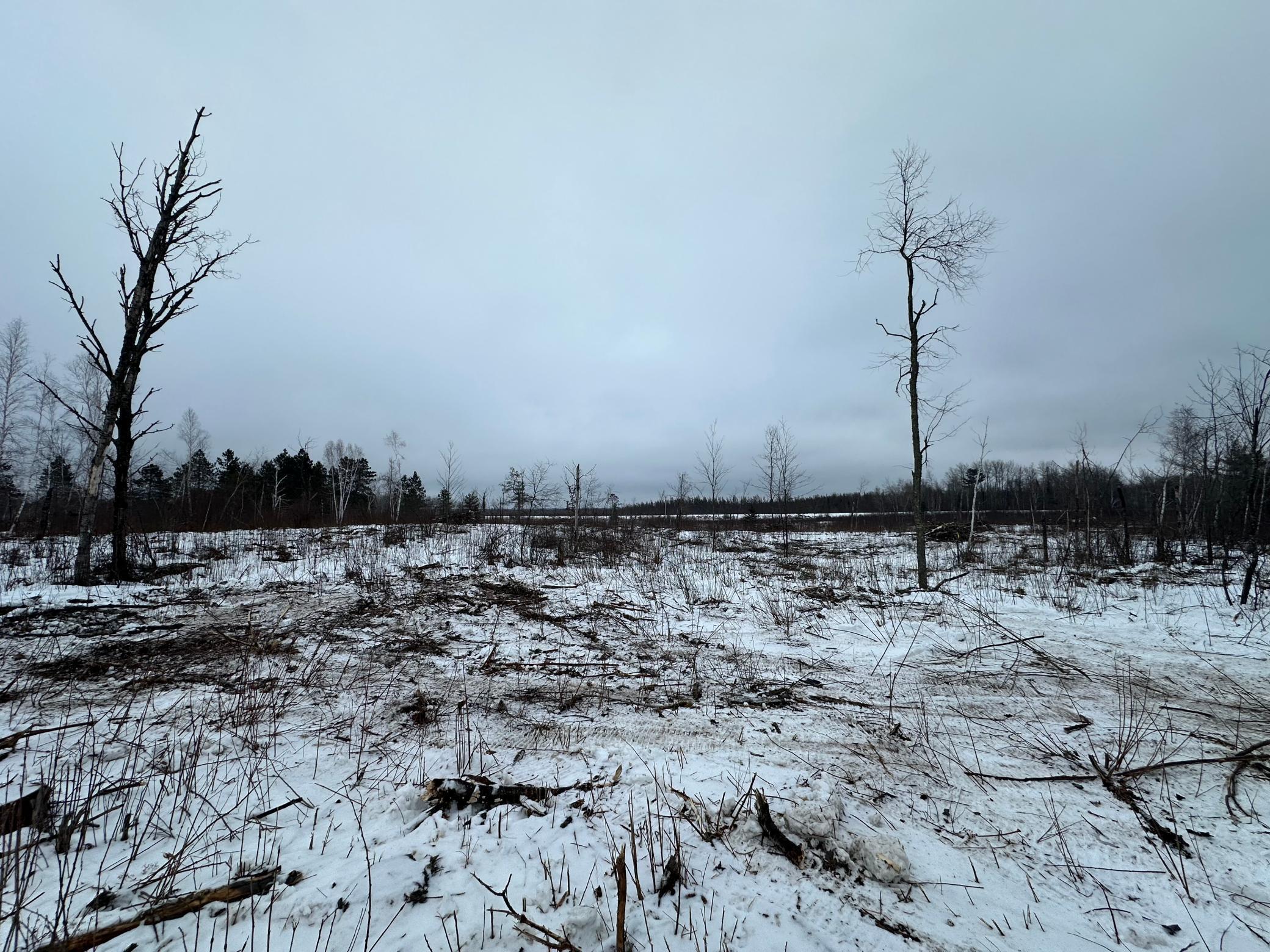 View of Land at TBD #3 Koecher Road, Kerrick MN 55756, Kerrick (15 of 21) - Mike Wilen | Minnesota Team Real Estate