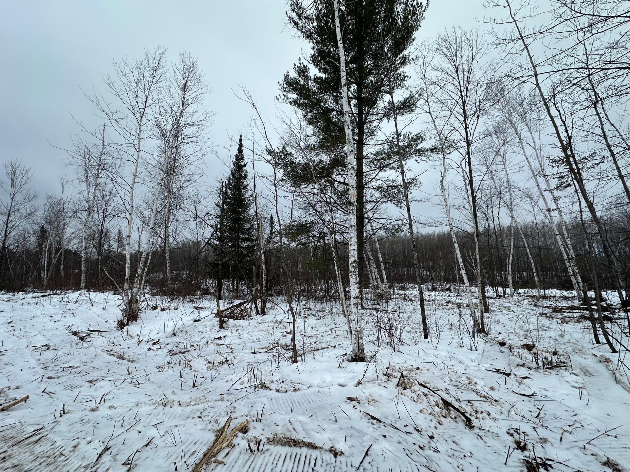View of Land at TBD #3 Koecher Road, Kerrick MN 55756, Kerrick (14 of 21) - Mike Wilen | Minnesota Team Real Estate