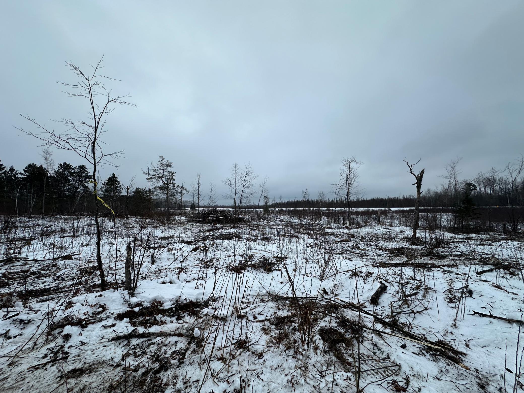 View of Land at TBD #3 Koecher Road, Kerrick MN 55756, Kerrick (13 of 21) - Mike Wilen | Minnesota Team Real Estate