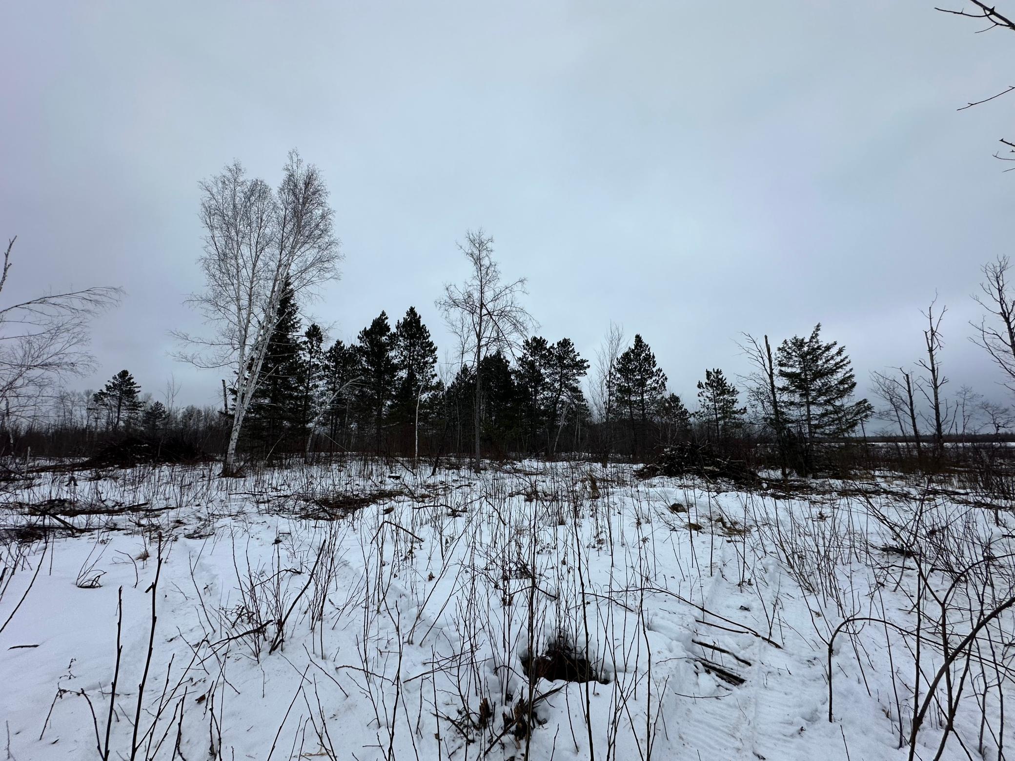 View of Land at TBD #3 Koecher Road, Kerrick MN 55756, Kerrick (11 of 21) - Mike Wilen | Minnesota Team Real Estate