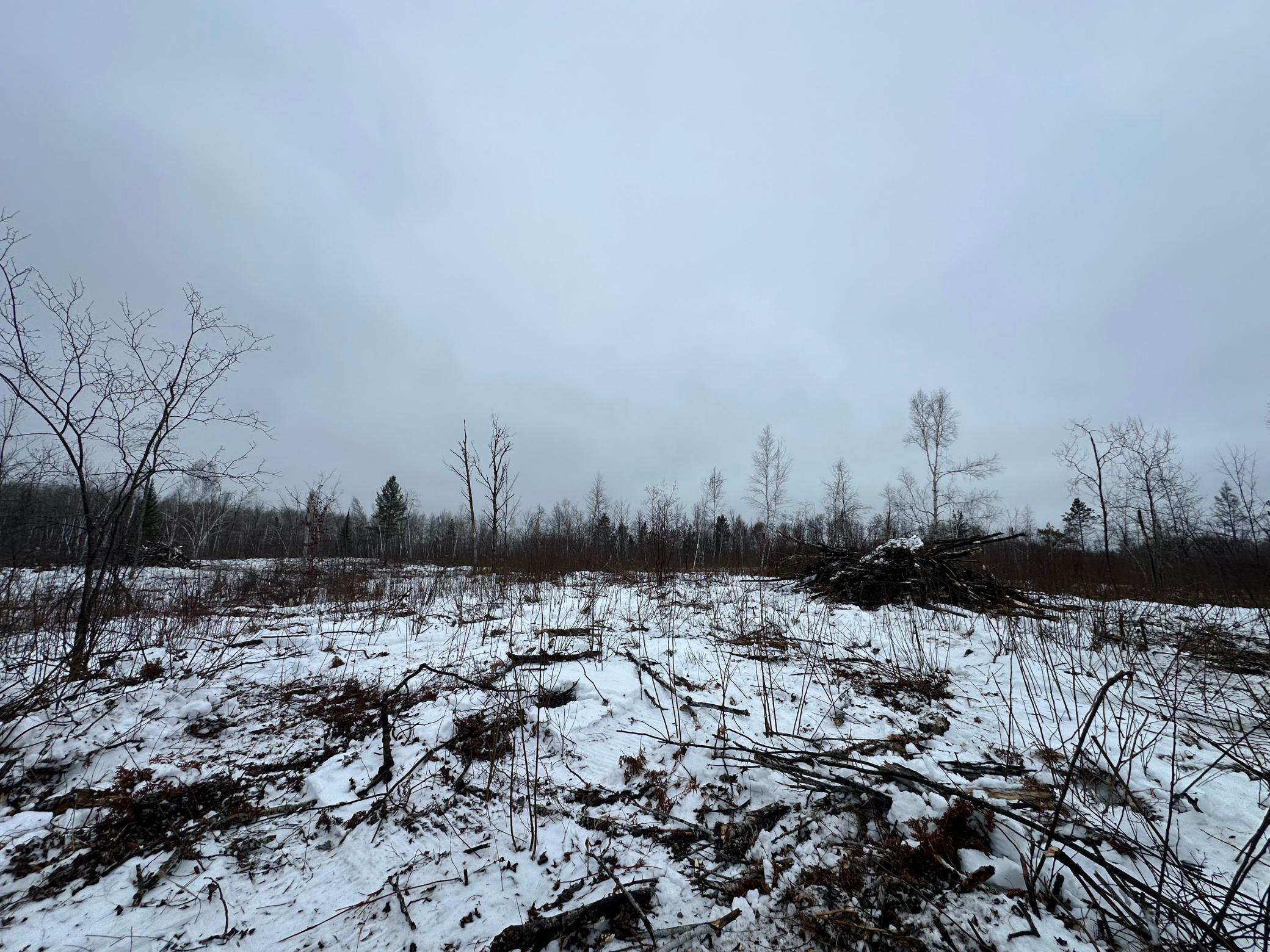 View of Land at TBD #3 Koecher Road, Kerrick MN 55756, Kerrick (10 of 21) - Mike Wilen | Minnesota Team Real Estate