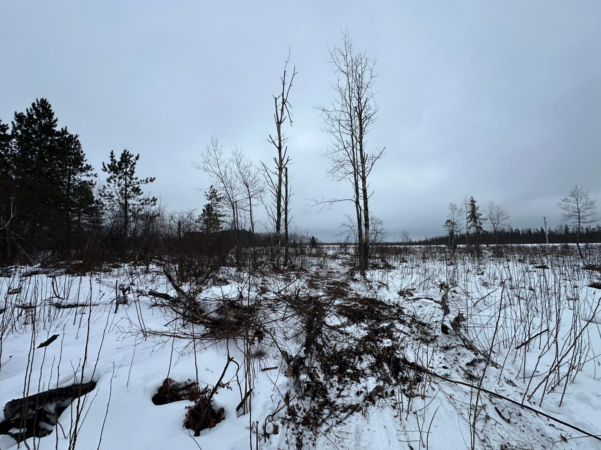 View of Land at TBD #3 Koecher Road, Kerrick MN 55756, Kerrick (9 of 21) - Mike Wilen | Minnesota Team Real Estate