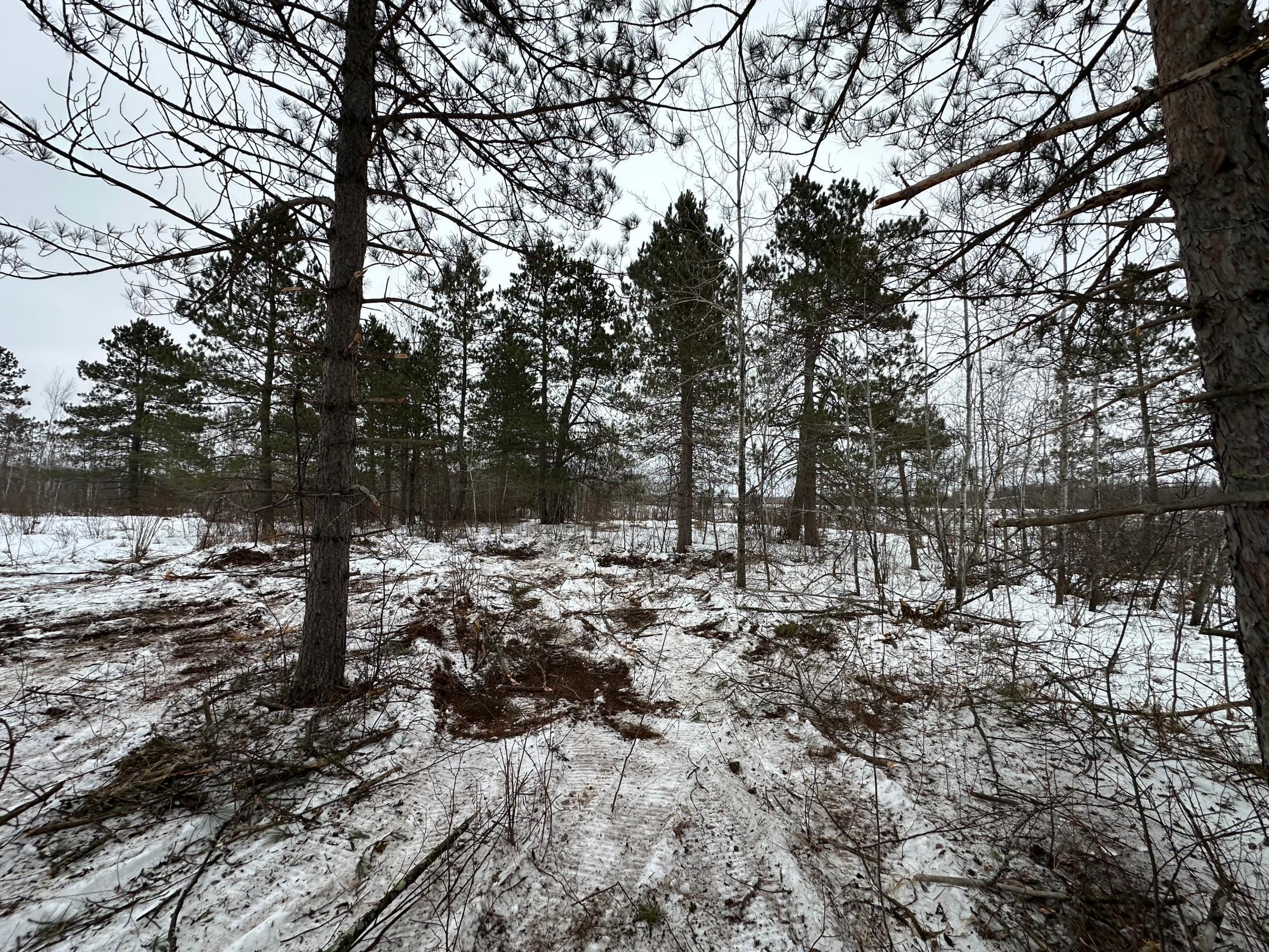 View of Land at TBD #3 Koecher Road, Kerrick MN 55756, Kerrick (7 of 21) - Mike Wilen | Minnesota Team Real Estate