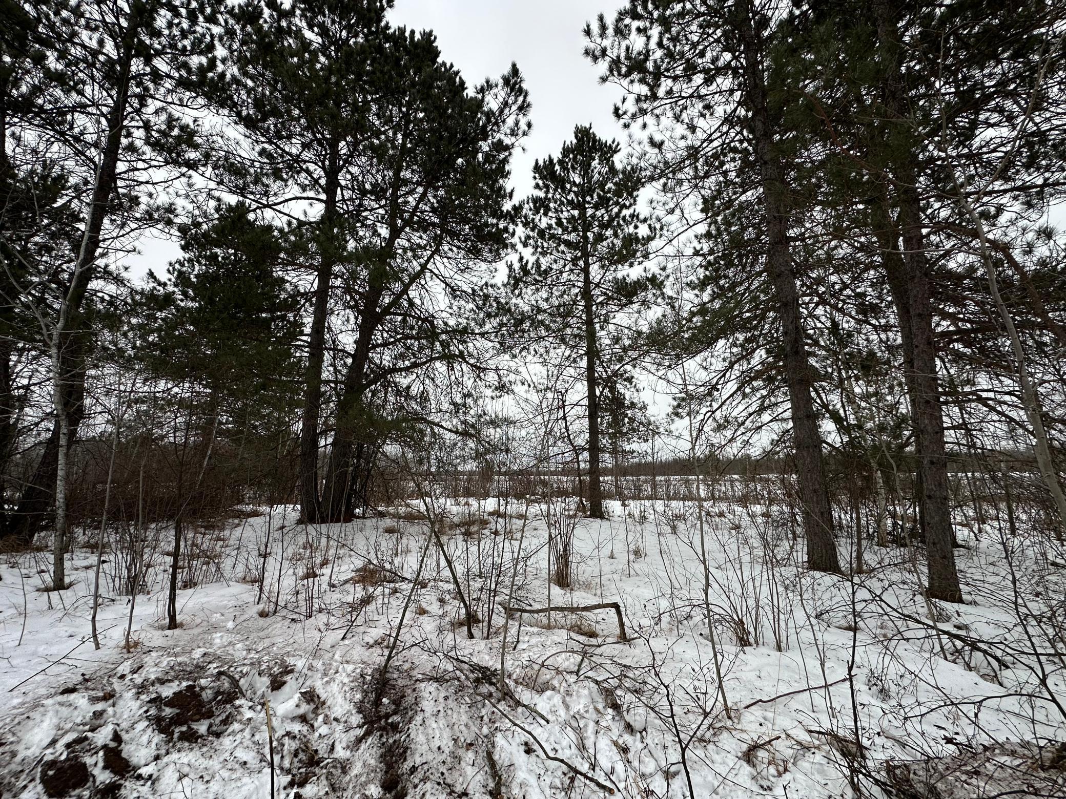 View of Land at TBD #3 Koecher Road, Kerrick MN 55756, Kerrick (6 of 21) - Mike Wilen | Minnesota Team Real Estate