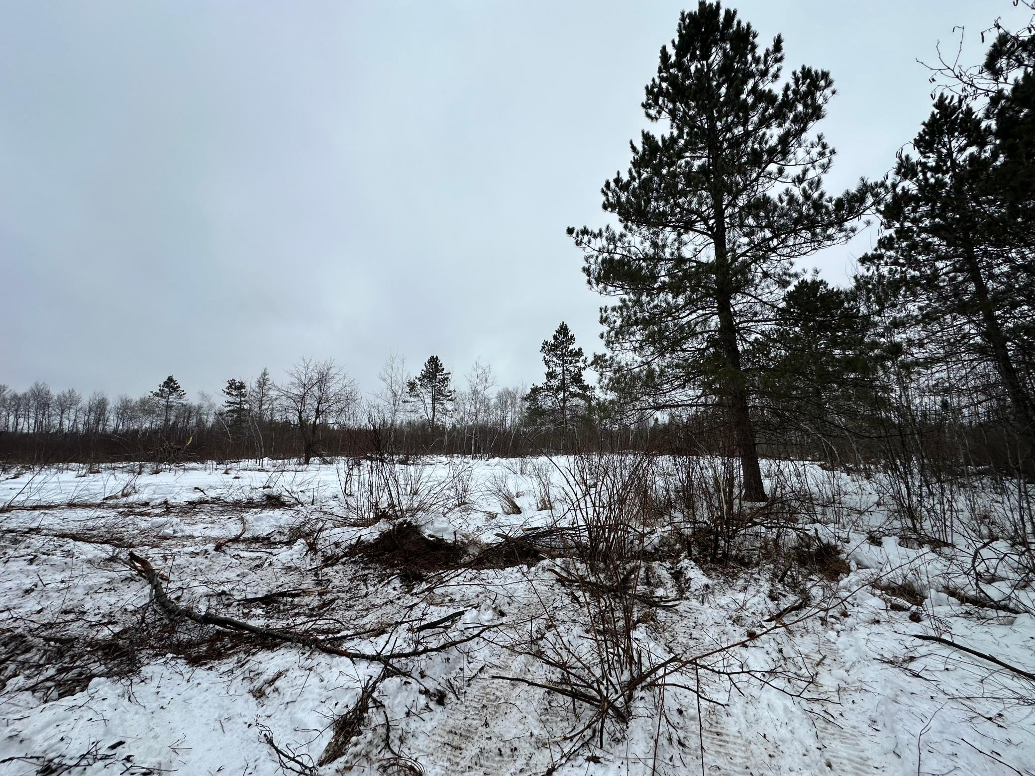View of Land at TBD #3 Koecher Road, Kerrick MN 55756, Kerrick (5 of 21) - Mike Wilen | Minnesota Team Real Estate