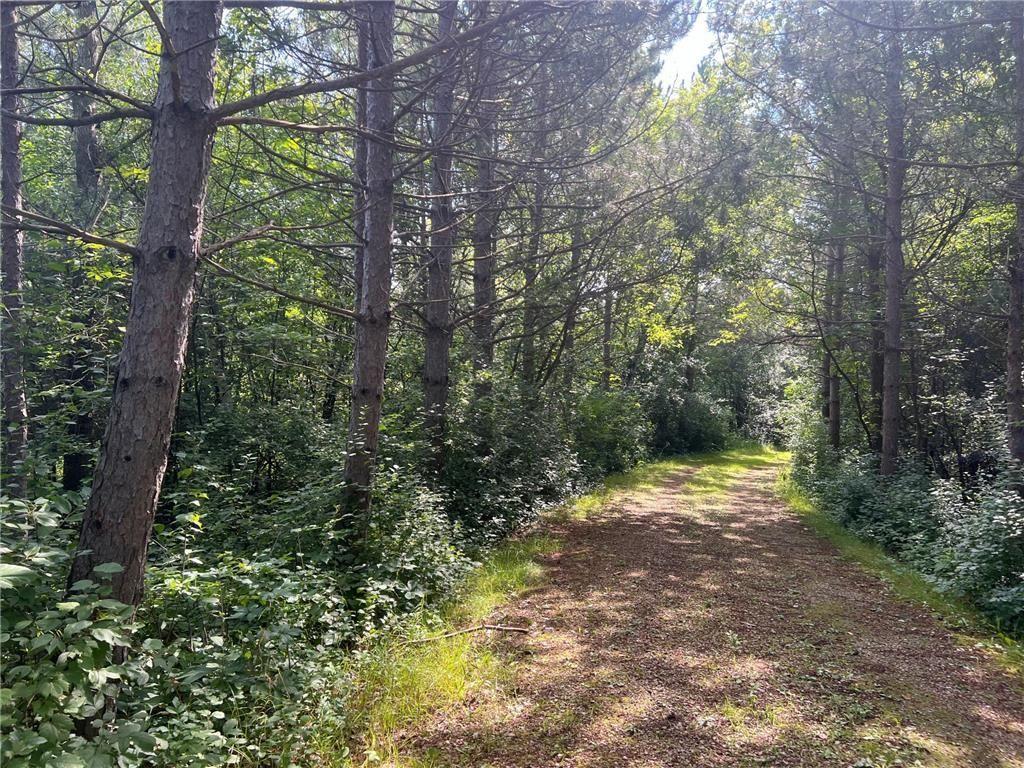 View of Land at TBD Polk Street, Elk River MN 55330, Elk River - Mike Wilen | Minnesota Team Real Estate