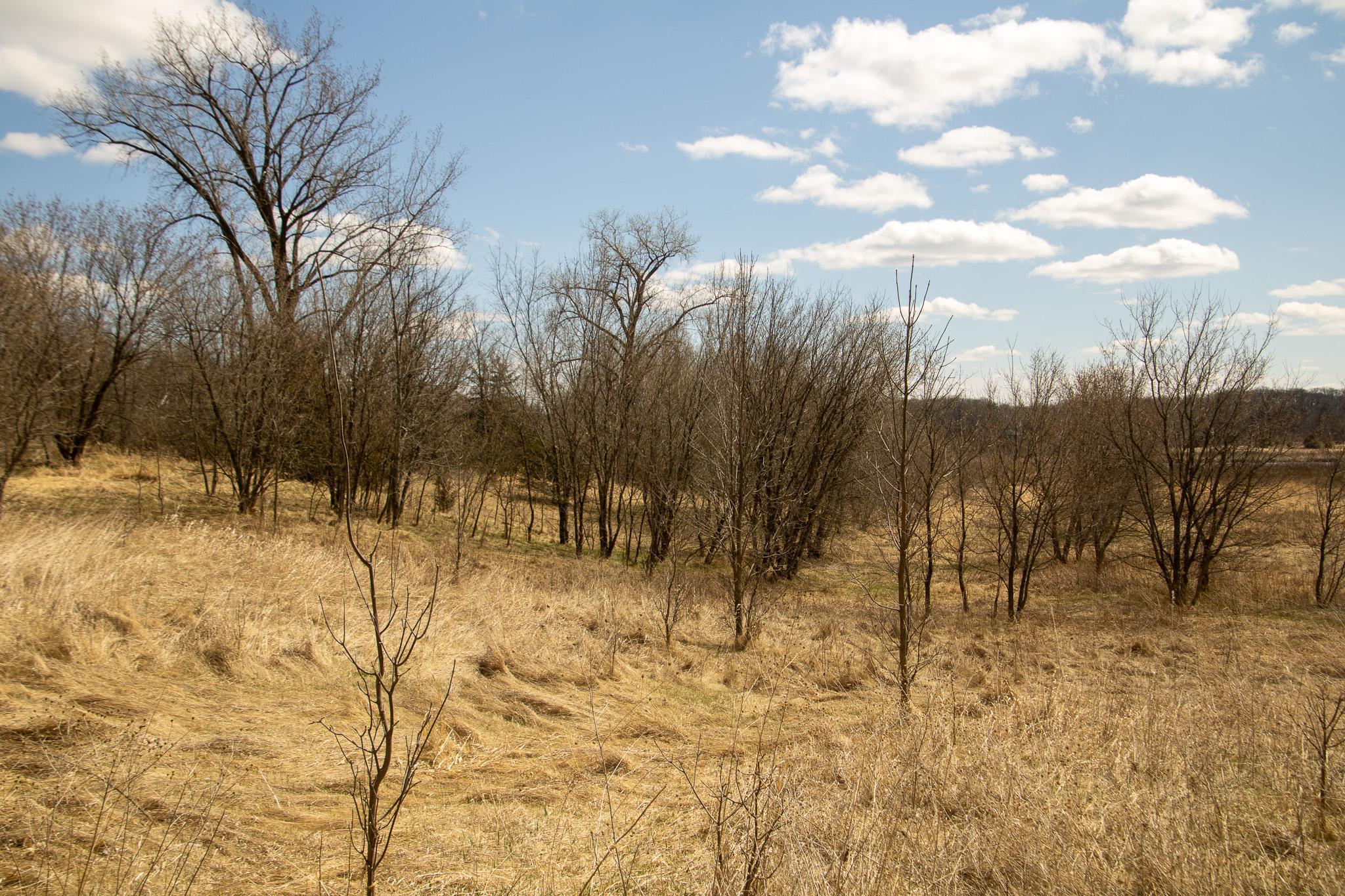 View of Land at xxx Scandia Trail N, Forest Lake MN 55025, Forest Lake (7 of 30) - Mike Wilen | Minnesota Team Real Estate