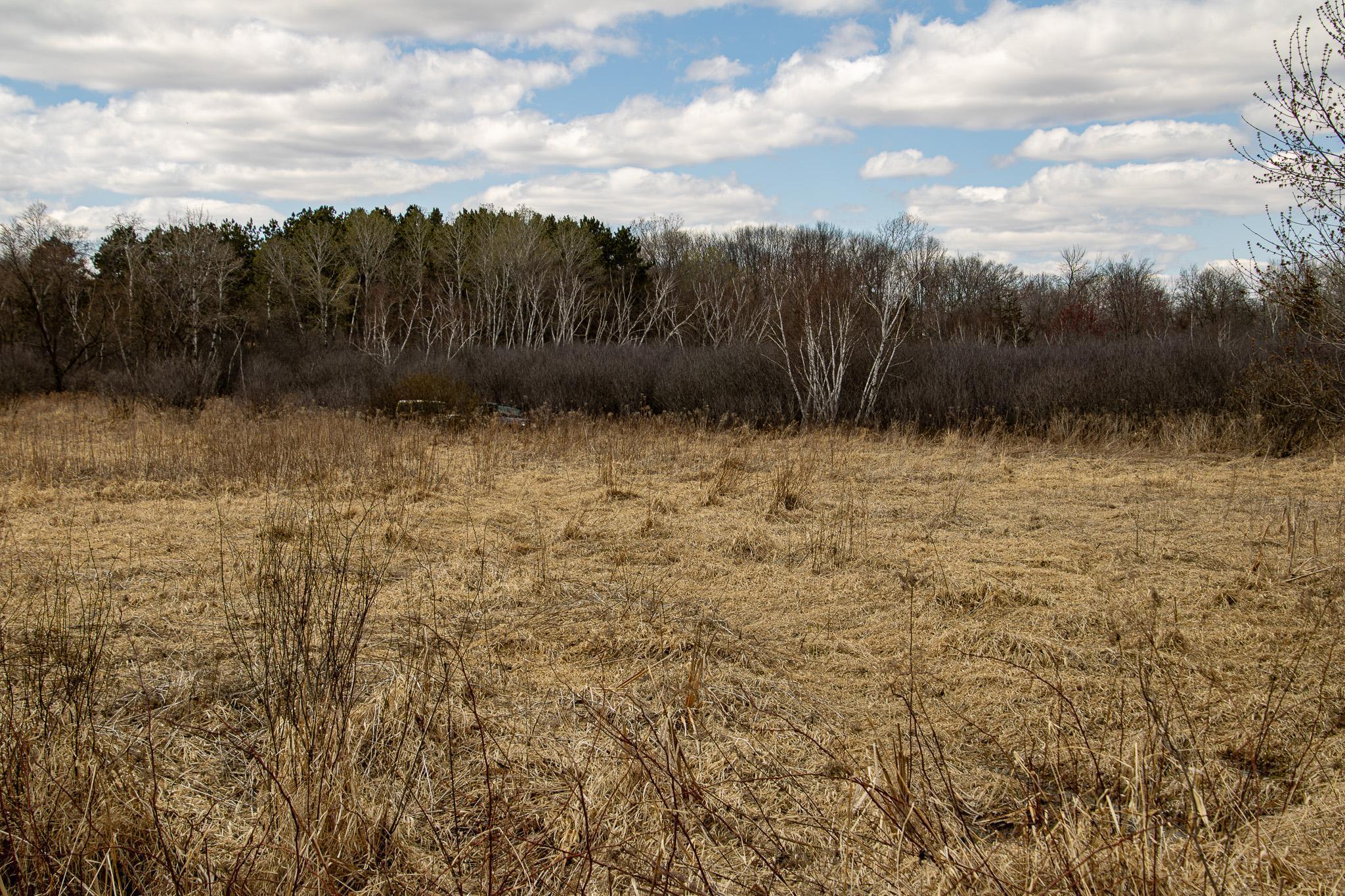 View of Land at xxx Scandia Trail N, Forest Lake MN 55025, Forest Lake (8 of 30) - Mike Wilen | Minnesota Team Real Estate