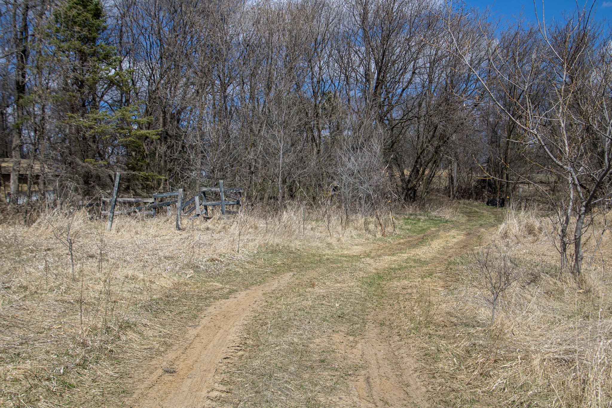 View of Land at xxx Scandia Trail N, Forest Lake MN 55025, Forest Lake (10 of 30) - Mike Wilen | Minnesota Team Real Estate