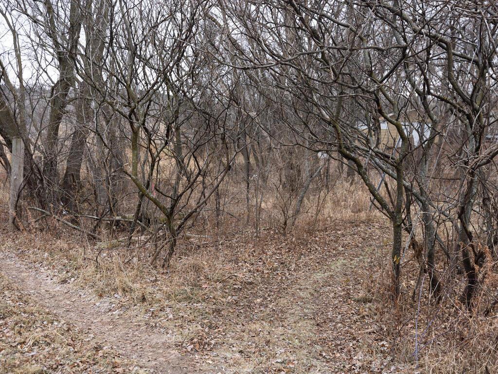 View of Land at xxx Scandia Trail N, Forest Lake MN 55025, Forest Lake (24 of 30) - Mike Wilen | Minnesota Team Real Estate