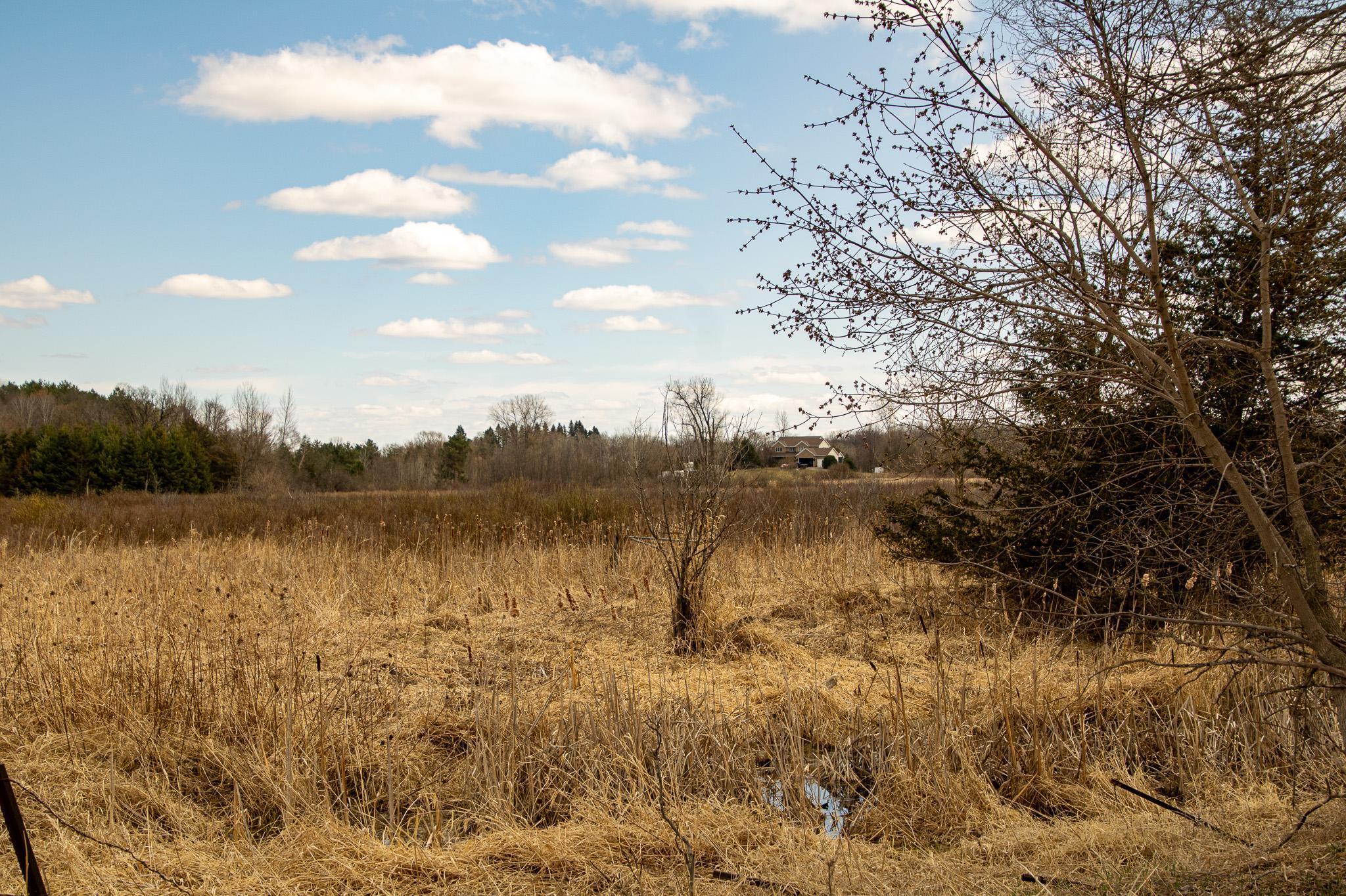 View of Land at xxx Scandia Trail N, Forest Lake MN 55025, Forest Lake (29 of 30) - Mike Wilen | Minnesota Team Real Estate
