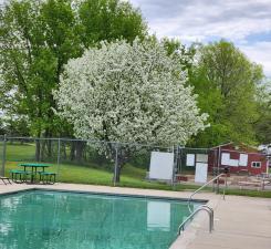 View of Land at 2945 County Road 4 #65, Cokato MN 55321, Cokato - Mike Wilen | Minnesota Team Real Estate