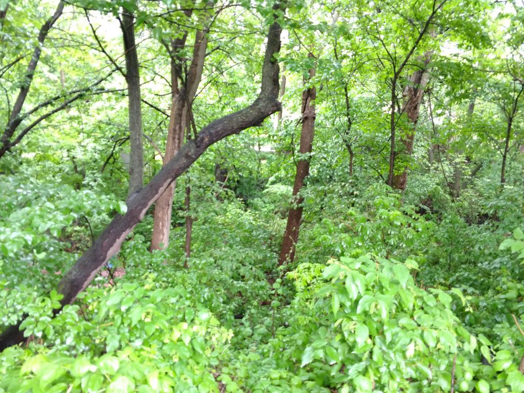 View of Residential at 2945 County Road 4 #109, Cokato MN 55321, Cokato (14 of 47) - Mike Wilen | Minnesota Team Real Estate
