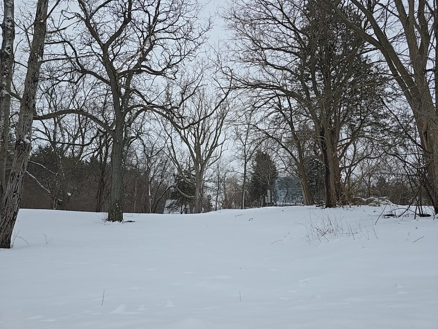 View of Land at 14705 Glendale Road, Minnetonka MN 55345, Minnetonka (3 of 4) - Mike Wilen | Minnesota Team Real Estate
