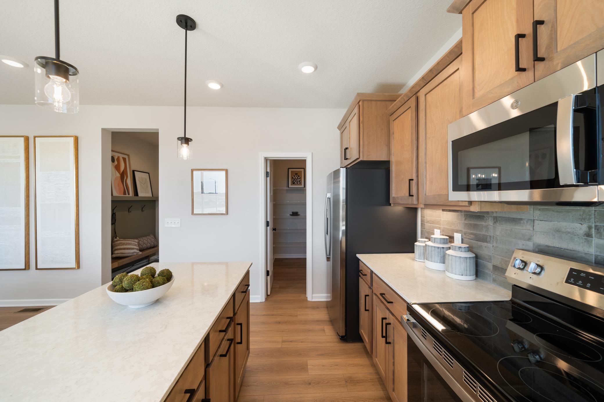View of Residential at 1005 Annagaire Curve, Rosemount MN 55068, Rosemount (6 of 47) - Mike Wilen | Minnesota Team Real Estate