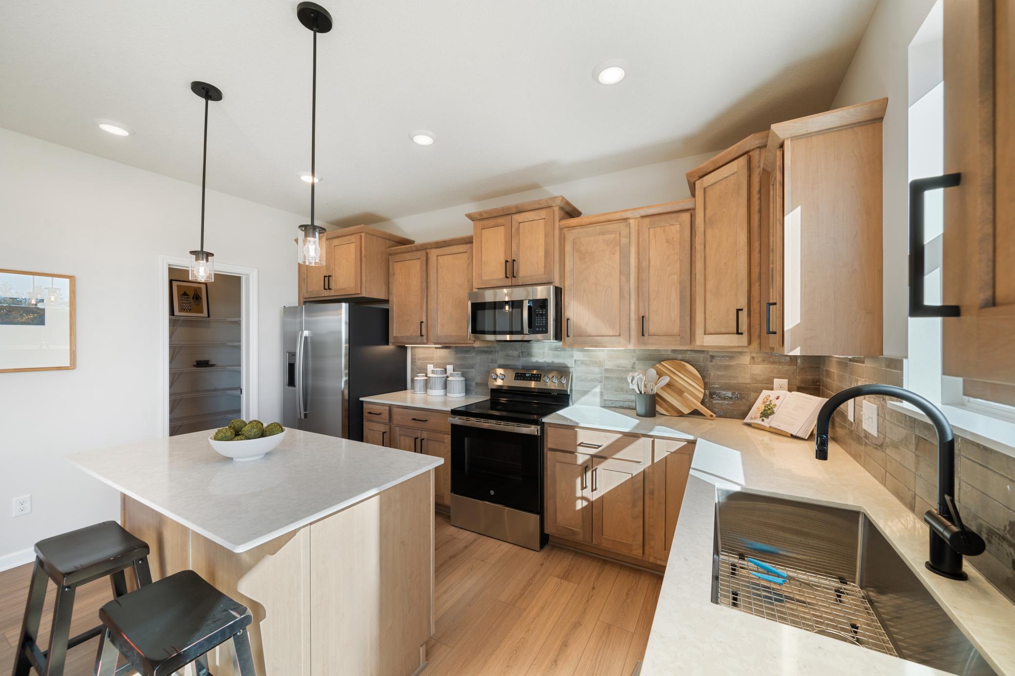 View of Residential at 1005 Annagaire Curve, Rosemount MN 55068, Rosemount (2 of 47) - Mike Wilen | Minnesota Team Real Estate