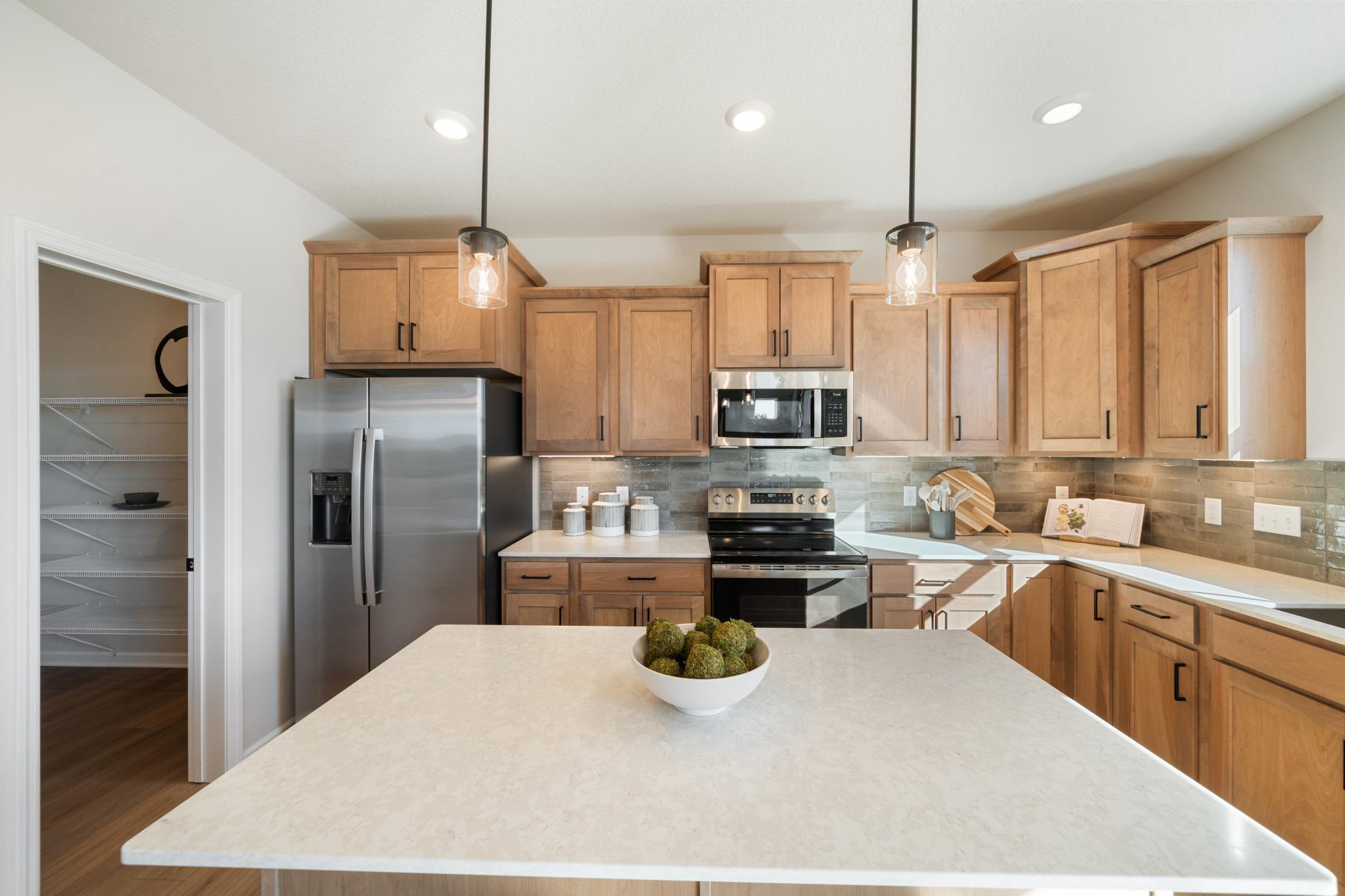 View of Residential at 1005 Annagaire Curve, Rosemount MN 55068, Rosemount (3 of 47) - Mike Wilen | Minnesota Team Real Estate