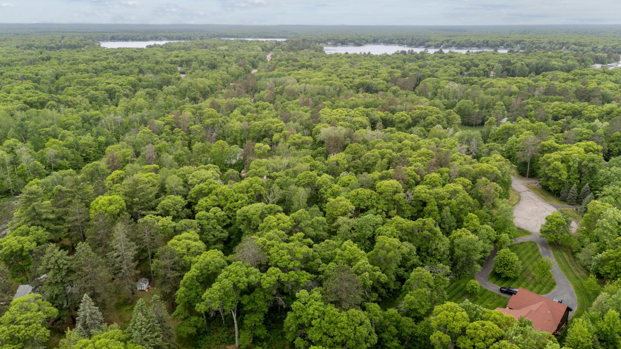 View of Land at TBD Gordon Circle, Crosslake MN 56442, Crosslake (6 of 12) - Mike Wilen | Minnesota Team Real Estate