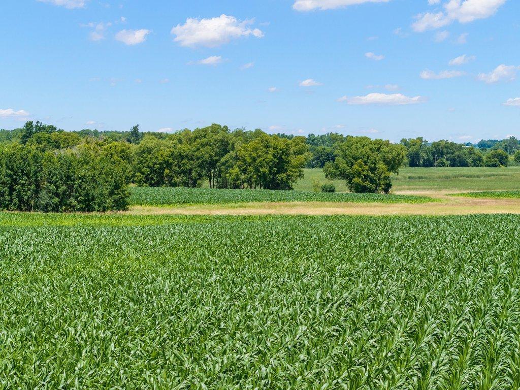 View of Land at TBD 66th Street, New Germany MN 55367, New Germany (9 of 13) - Mike Wilen | Minnesota Team Real Estate