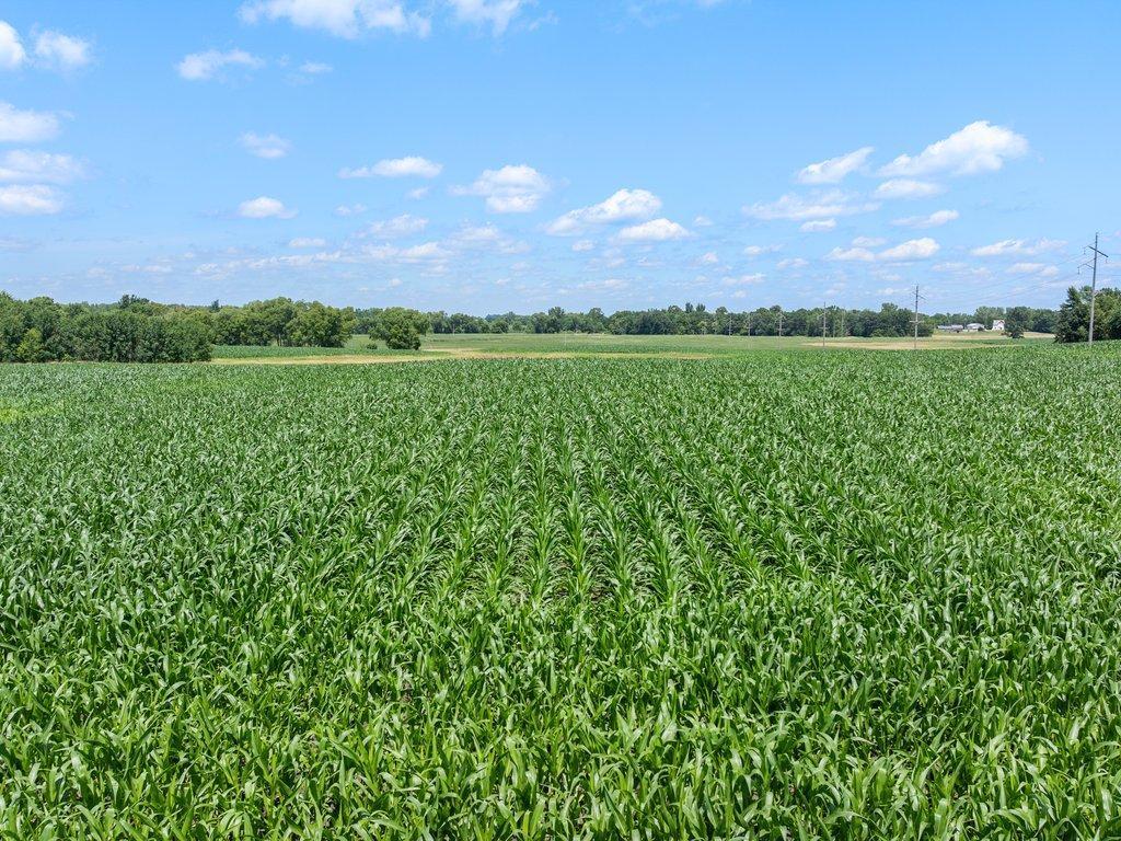 View of Land at TBD 66th Street, New Germany MN 55367, New Germany (3 of 13) - Mike Wilen | Minnesota Team Real Estate