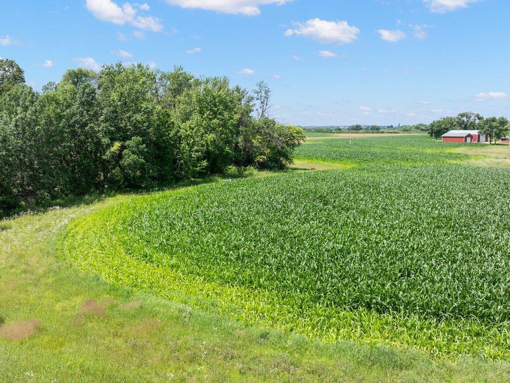 View of Land at TBD 66th Street, New Germany MN 55367, New Germany (6 of 13) - Mike Wilen | Minnesota Team Real Estate