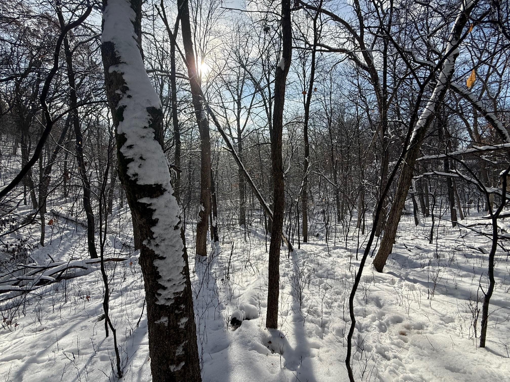 View of Land at 197xx Proctor Road, Elk River MN 55330, Elk River - Mike Wilen | Minnesota Team Real Estate