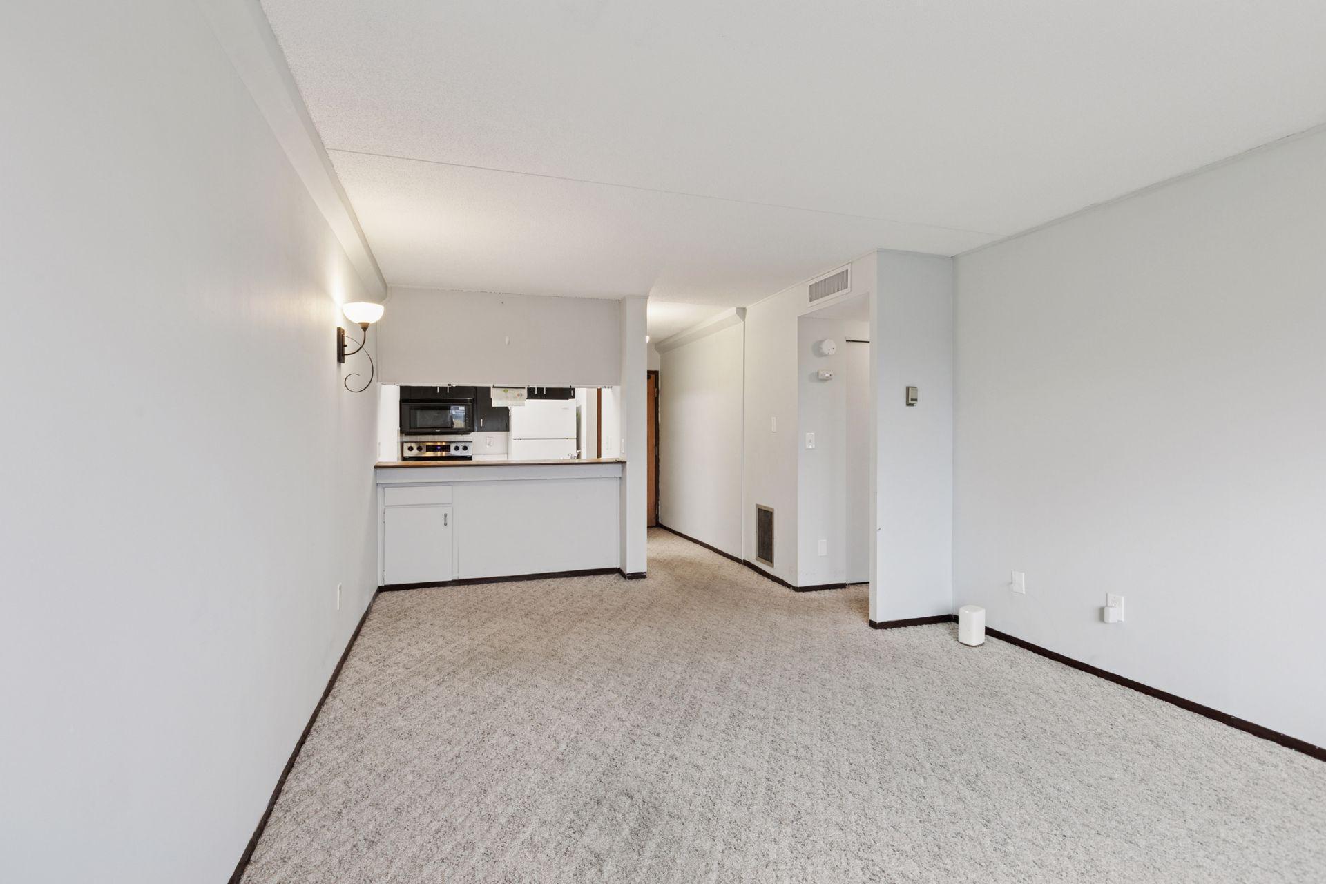 View of Residential at 1920 1st Street #707, Minneapolis MN 55454, Minneapolis (11 of 35) - Mike Wilen | Minnesota Team Real Estate