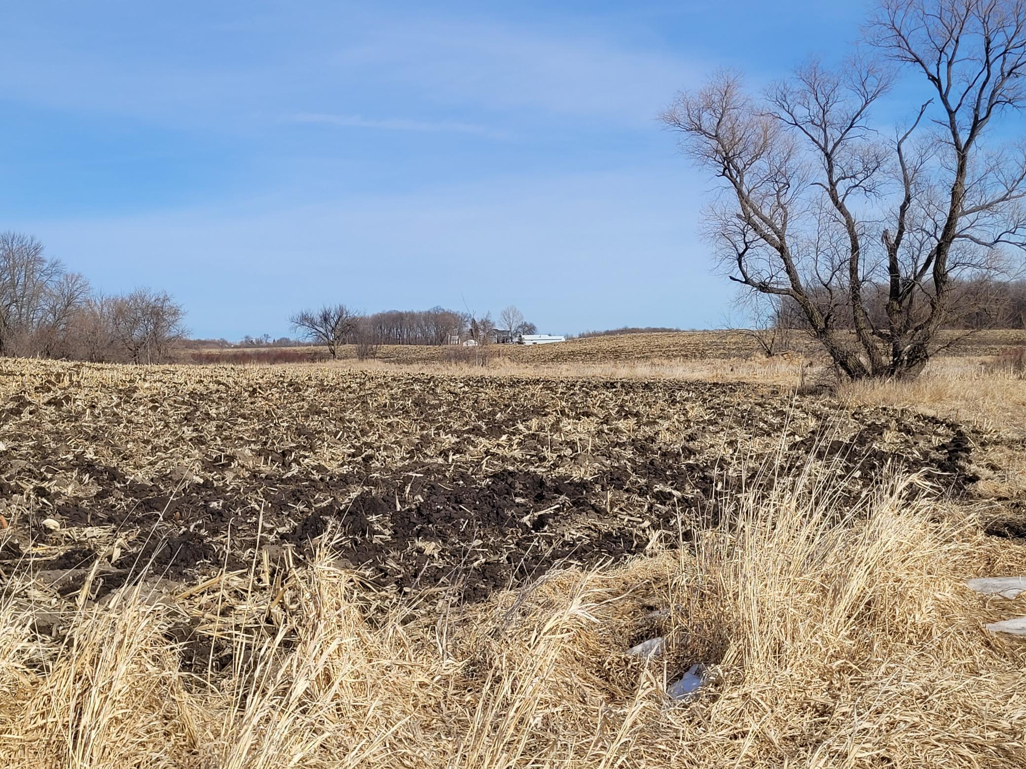 View of Land at XXXX County Road 7 NW, Maple Lake MN 55358, Maple Lake - Mike Wilen | Minnesota Team Real Estate