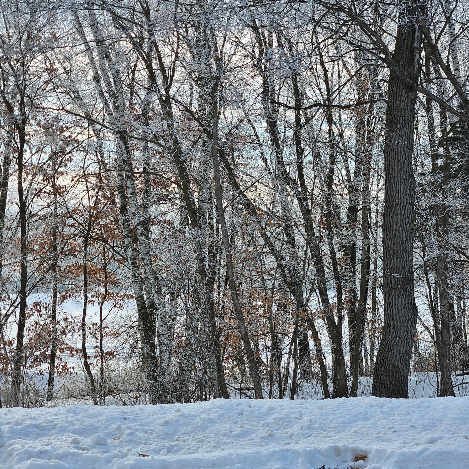 View of Land at Lot 1, Block 2 2 1/2 Avenue, Saint Stephen MN 56375, Saint Stephen (9 of 9) - Mike Wilen | Minnesota Team Real Estate