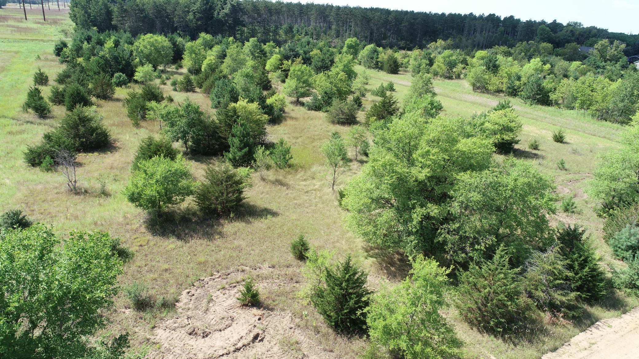 View of Land at 17XXX County Road 83, Big Lake MN 55309, Big Lake (2 of 3) - Mike Wilen | Minnesota Team Real Estate