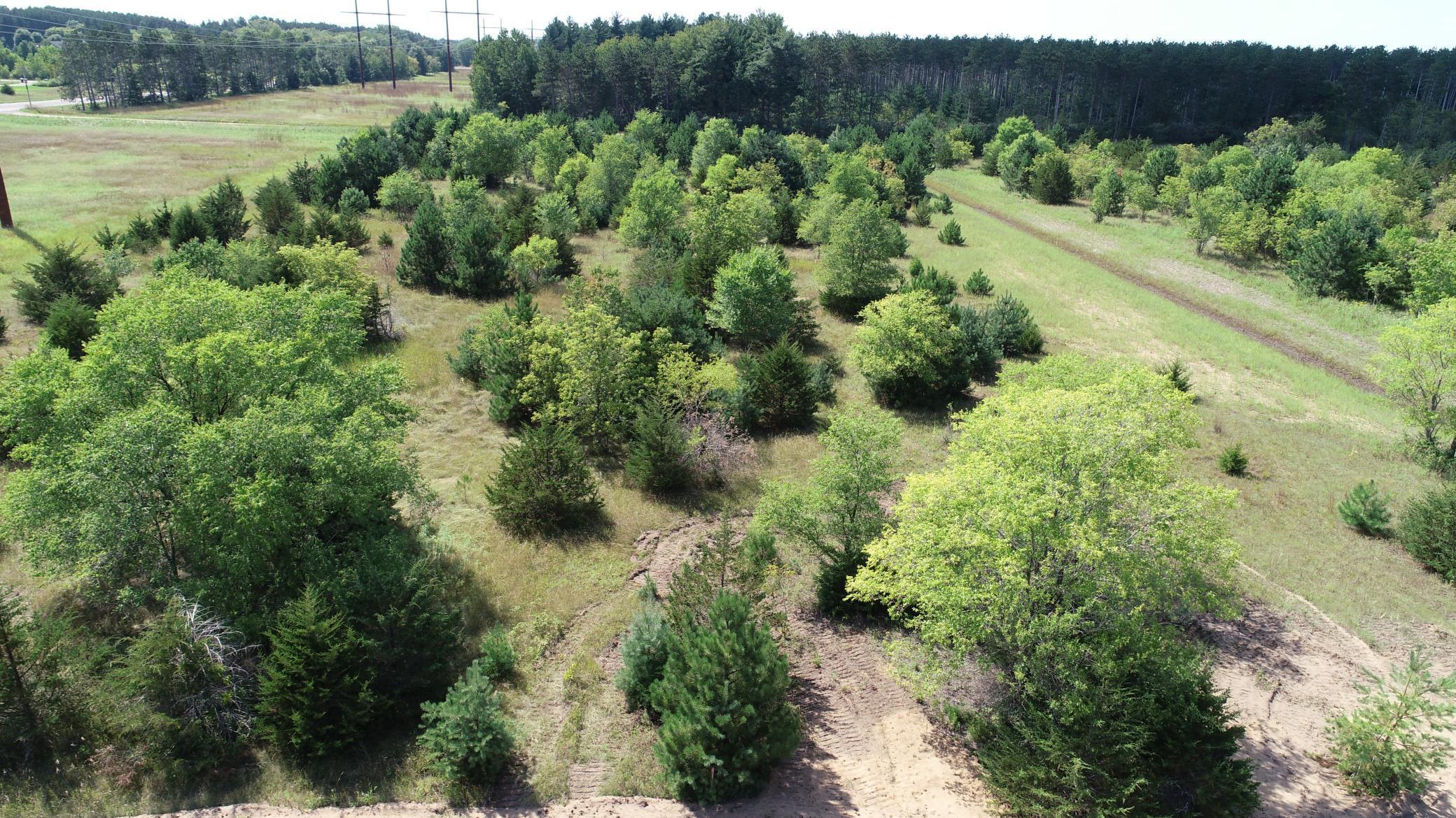 View of Land at 17XXX County Road 83, Big Lake MN 55309, Big Lake - Mike Wilen | Minnesota Team Real Estate