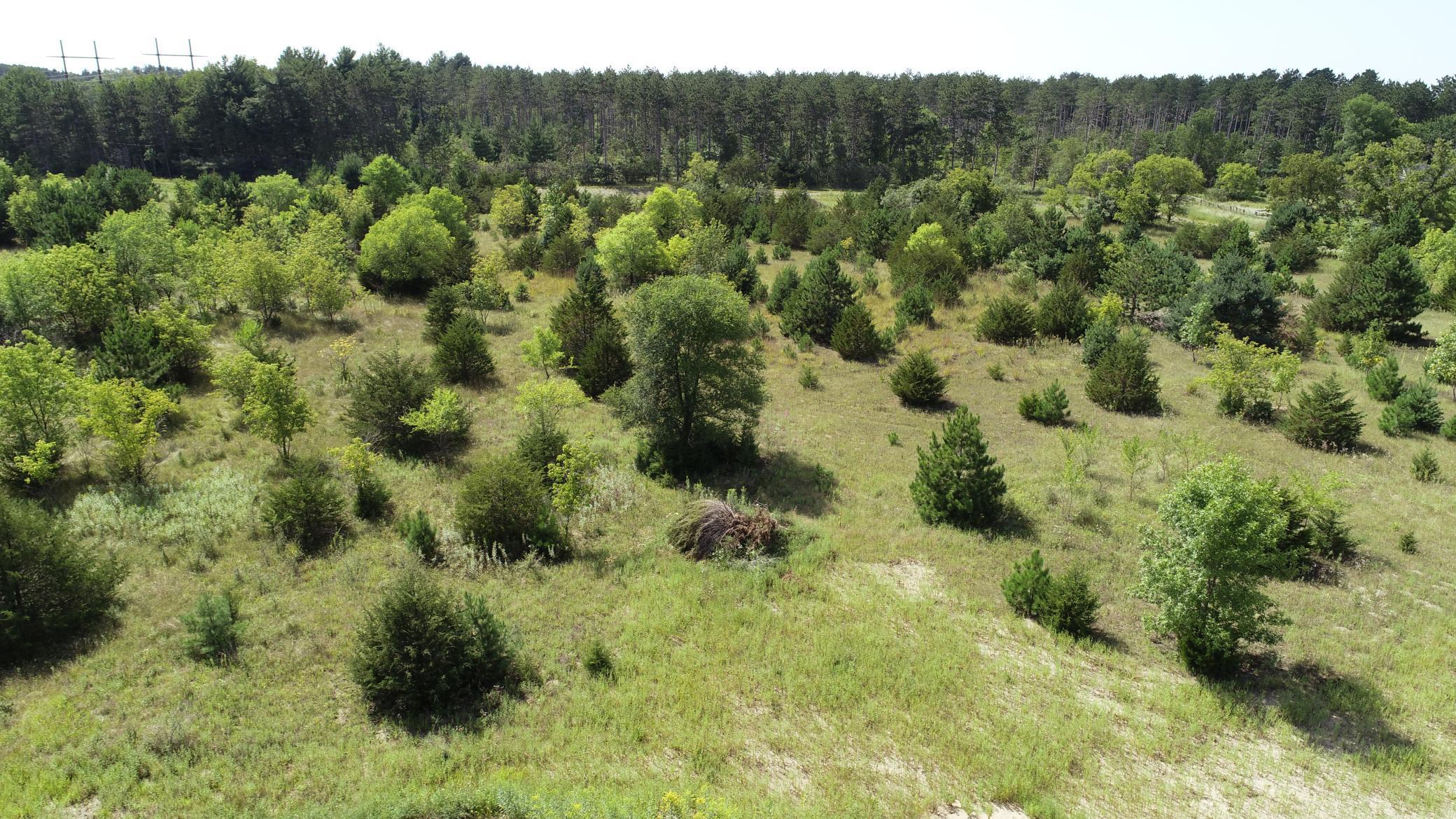 View of Land at 2XXXX 174th St, Big Lake MN 55309, Big Lake (2 of 3) - Mike Wilen | Minnesota Team Real Estate