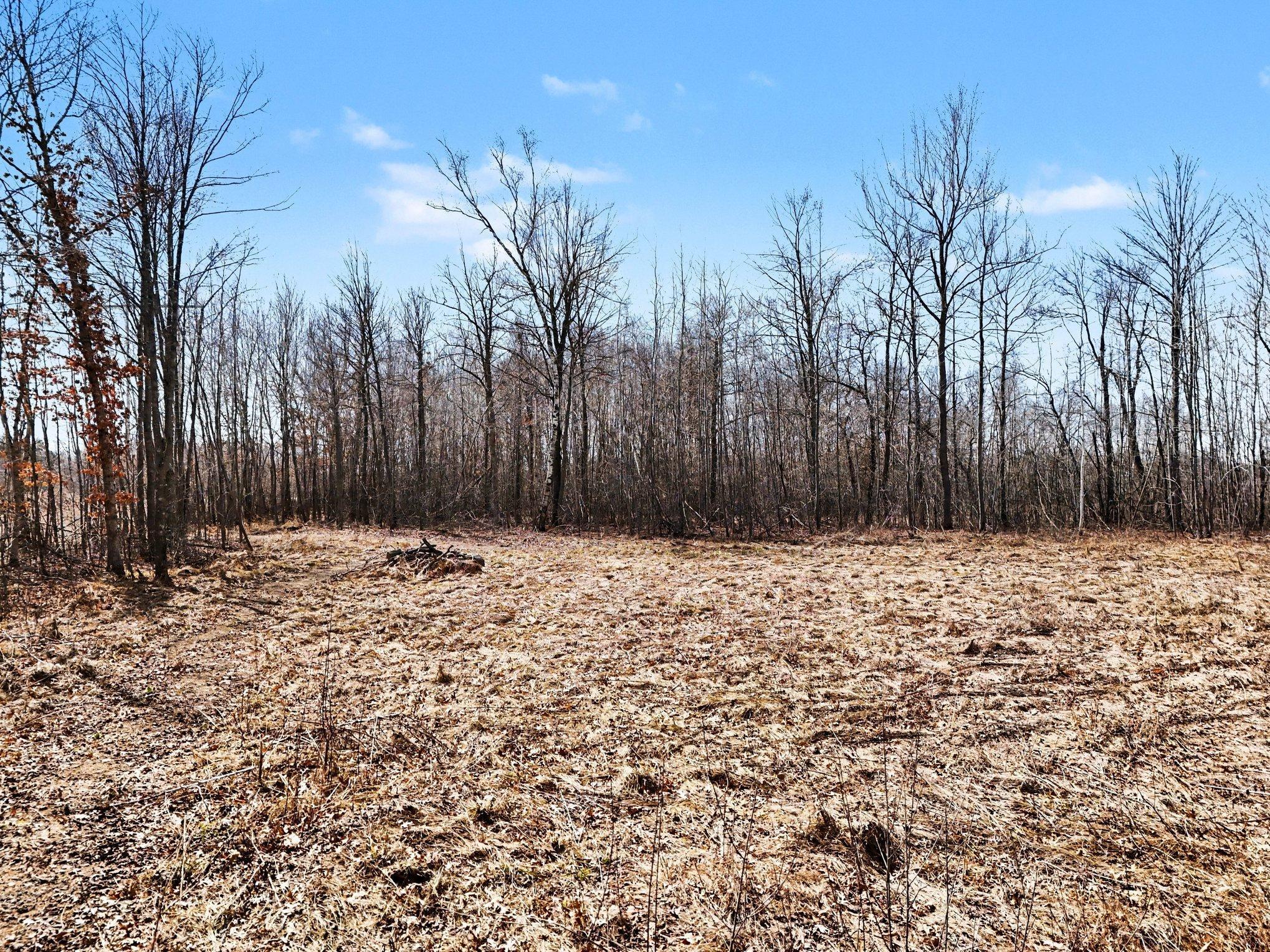View of Land at 6818 460th Street, Harris MN 55032, Harris (3 of 14) - Mike Wilen | Minnesota Team Real Estate